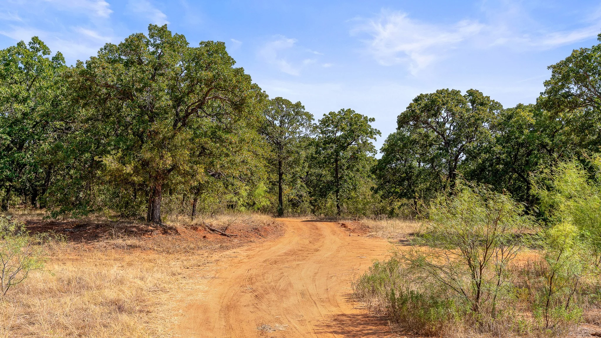 DSC09980-Landscape.jpg