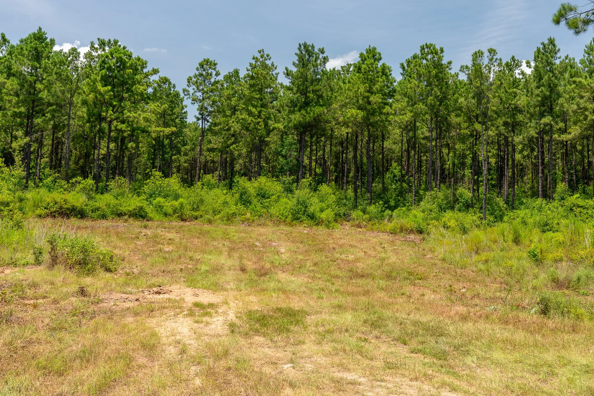 woodville-63.jpg