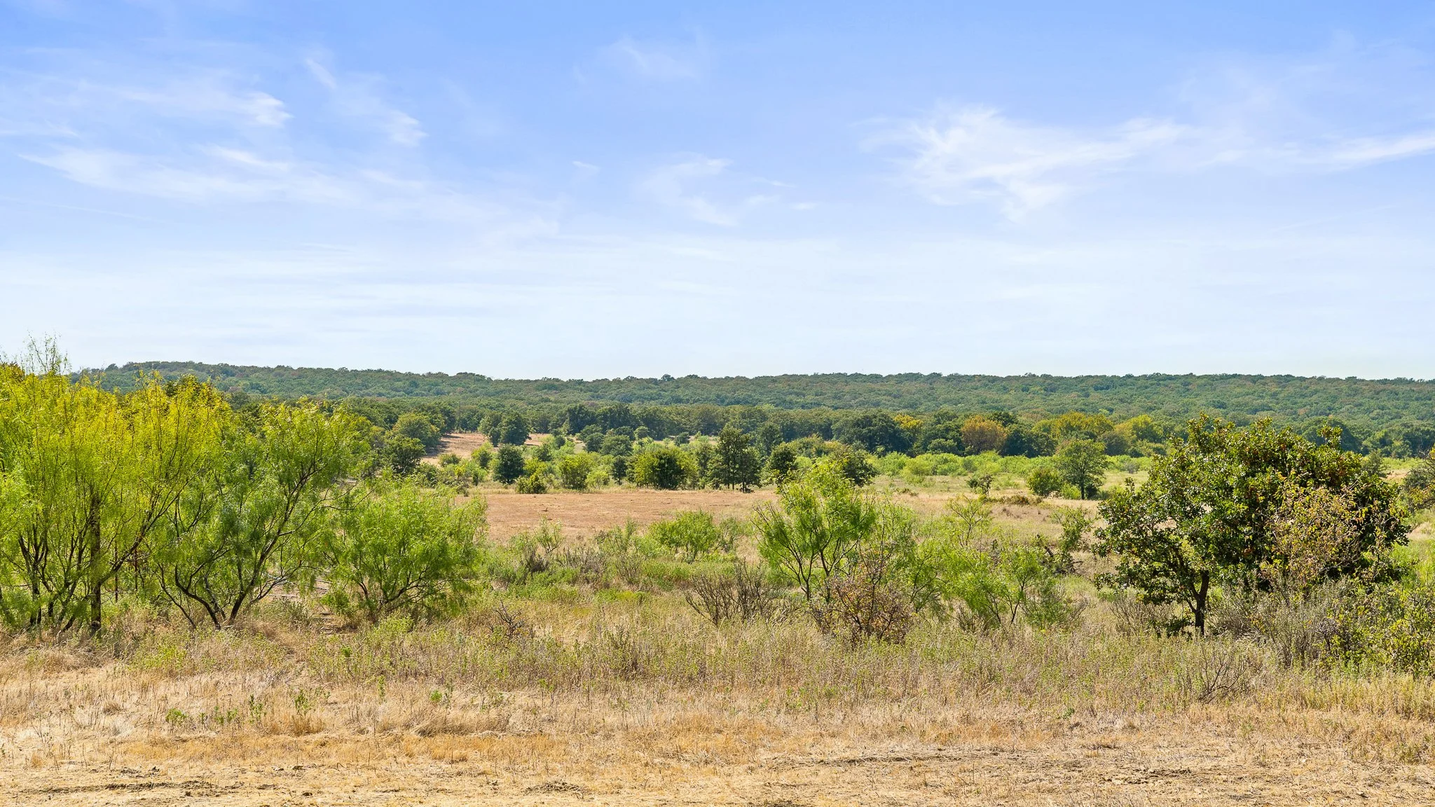 DSC09965-Landscape.jpg
