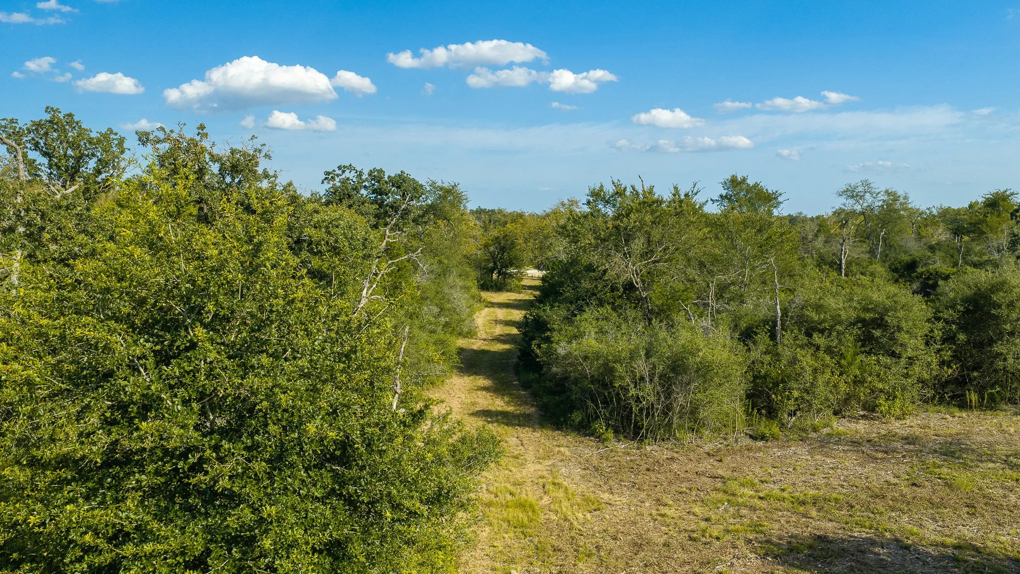 landscape-crestwood-23.jpg