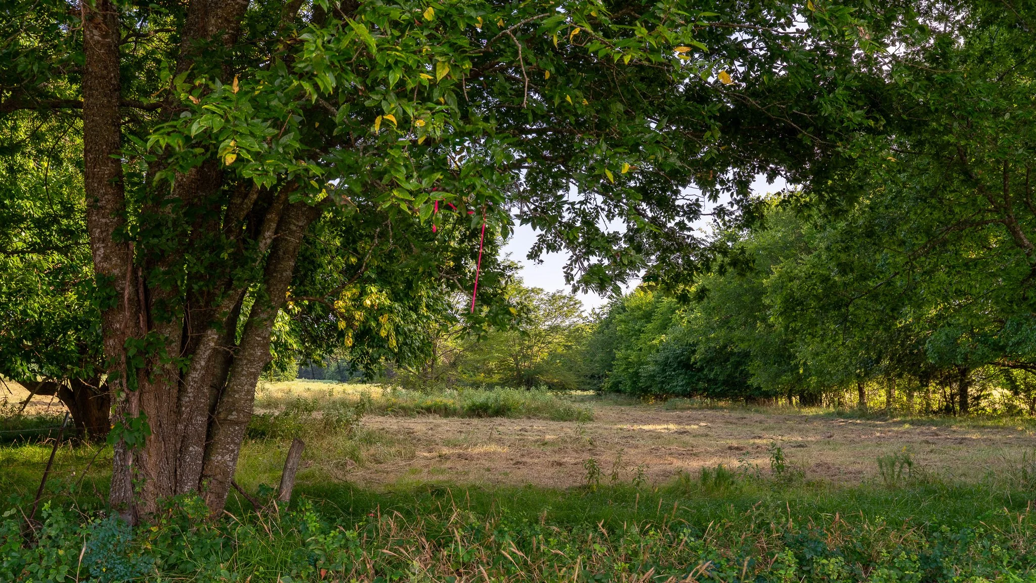 landscape-ground-summerdale--14.jpg