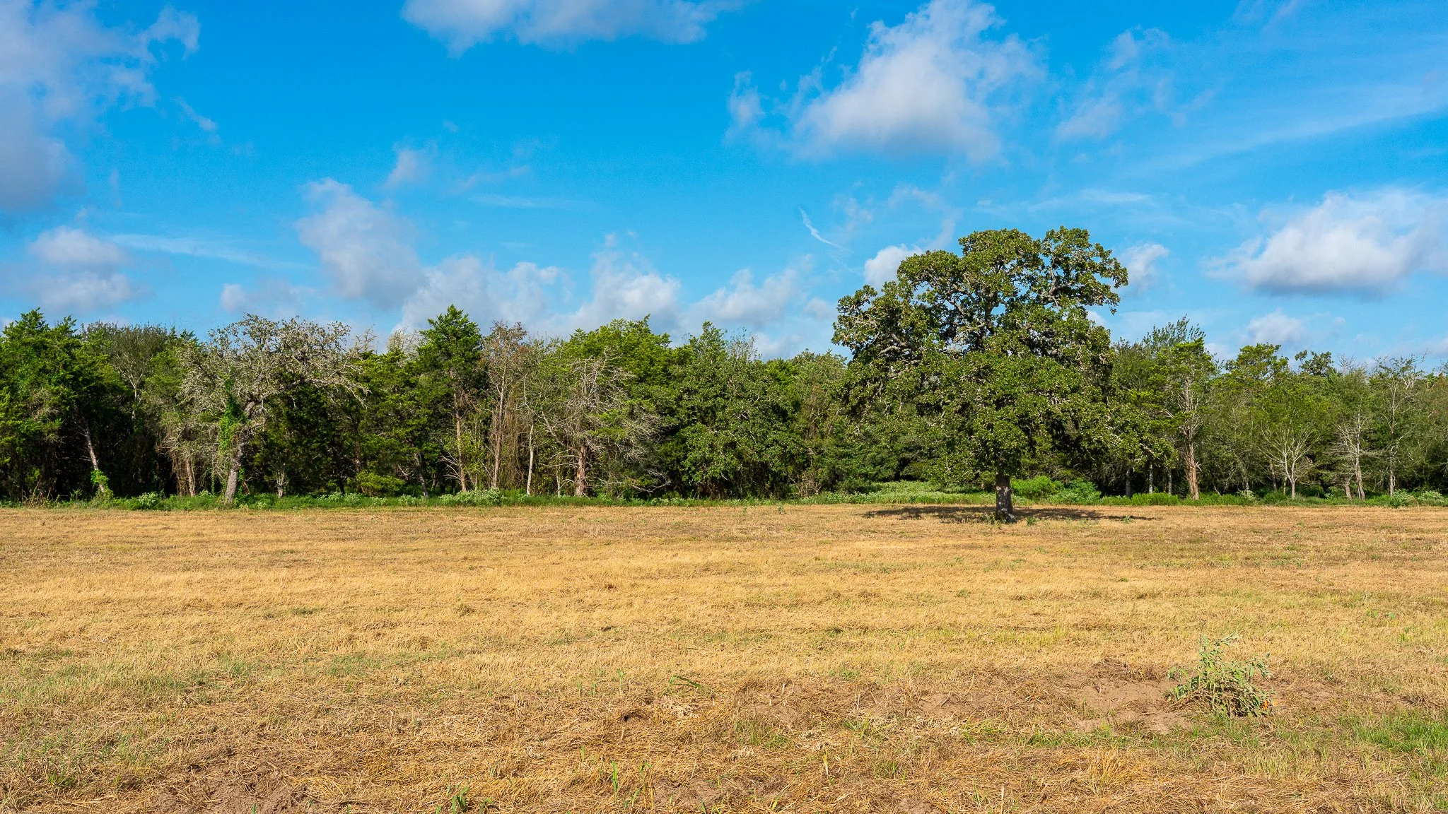 landscape-smithville-4.jpg