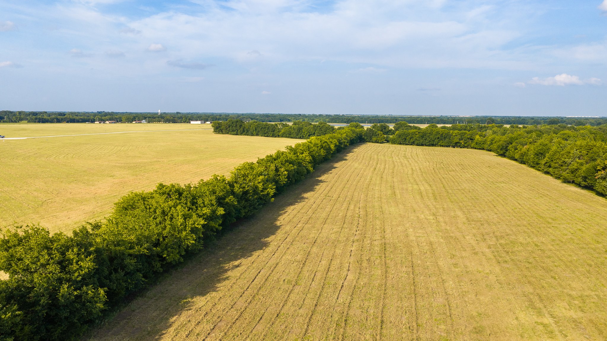 landscape-aerial-summerdale--40.jpg