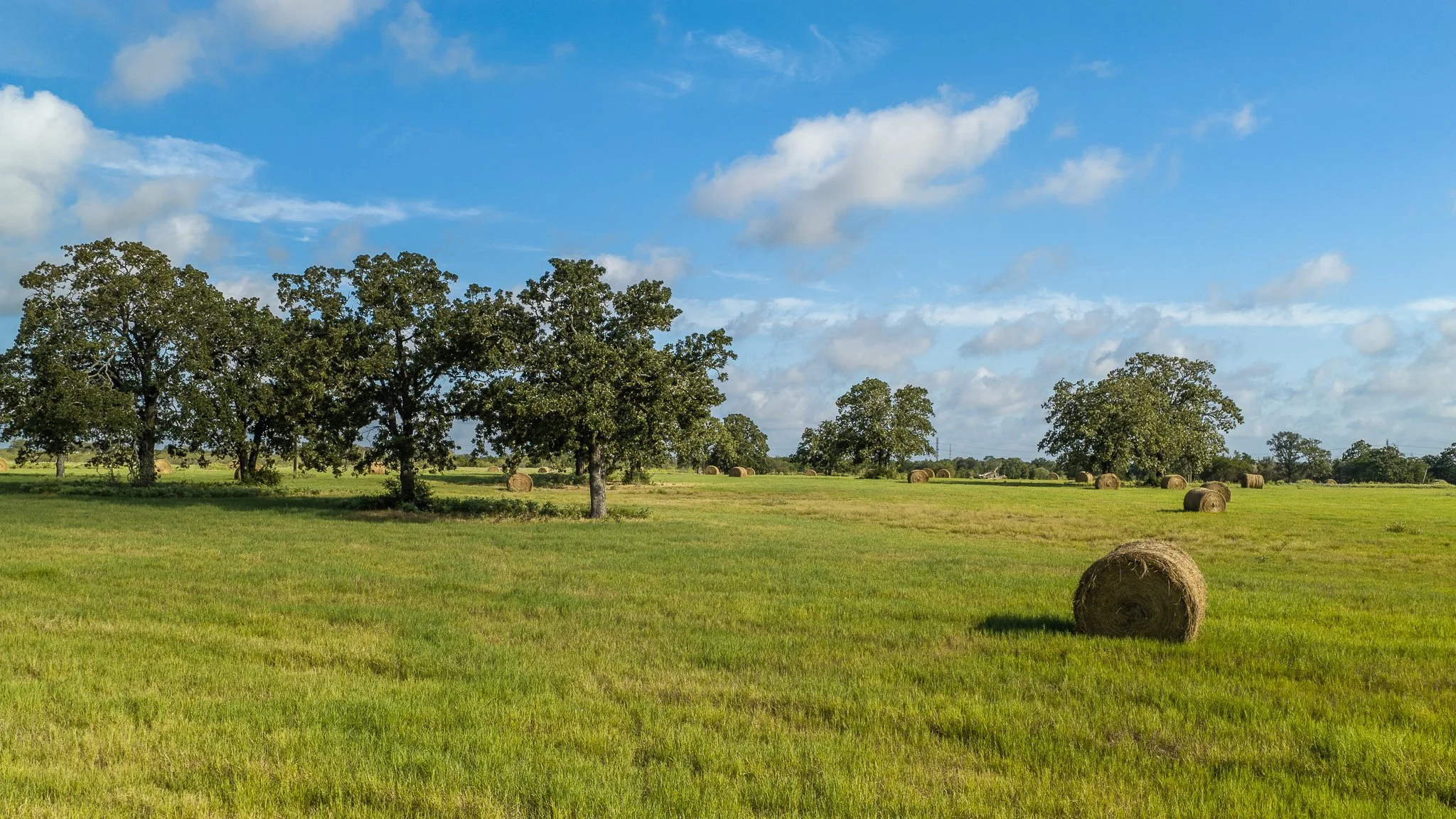 landscape-smithville-12.jpg