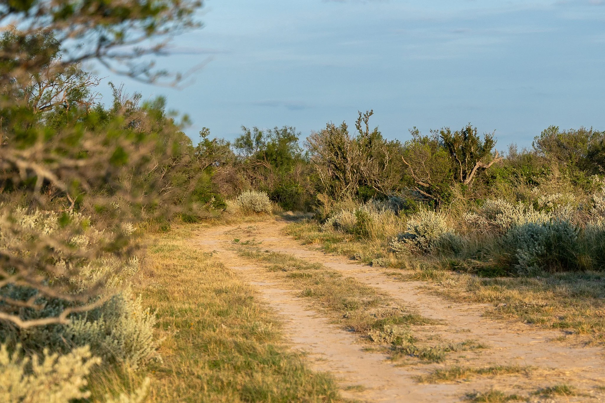Blue_Rooster_Ranch-19.jpg