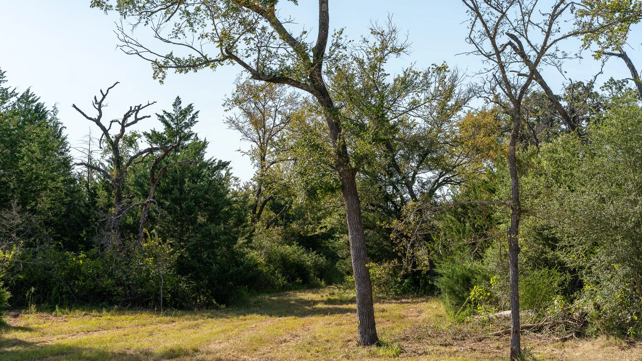 landscape-crestwood-70.jpg