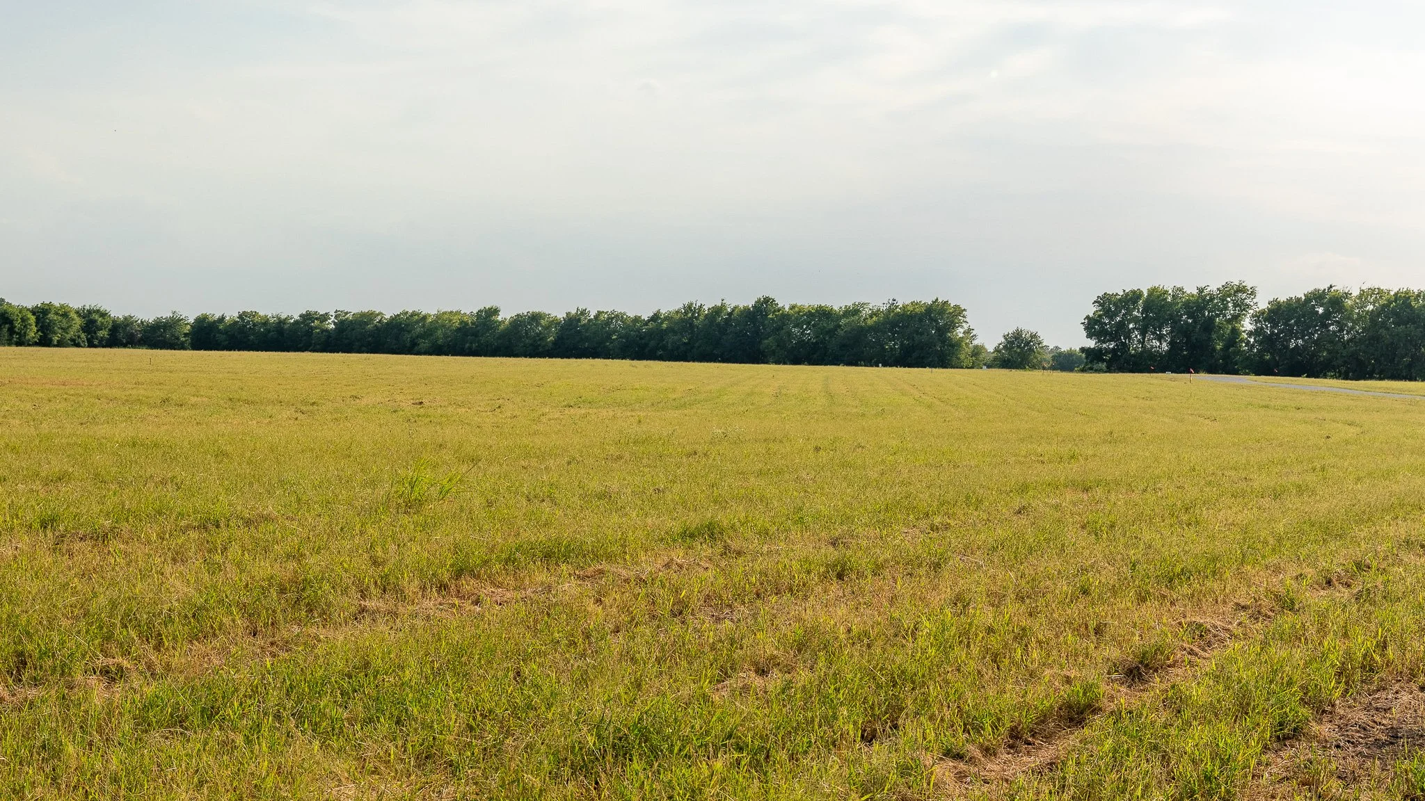 landscape-ground-summerdale--11.jpg