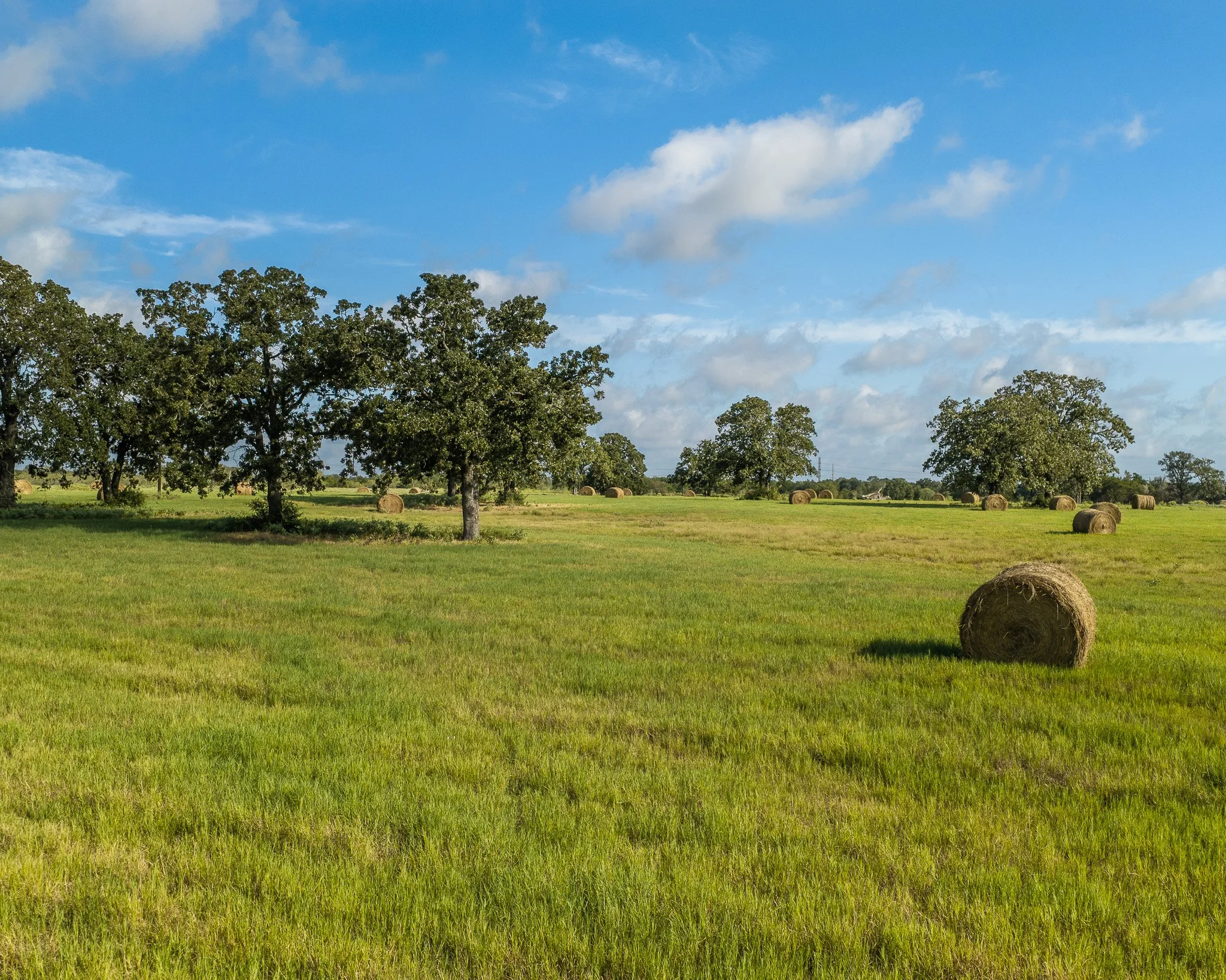 portrait-smithville-12.jpg