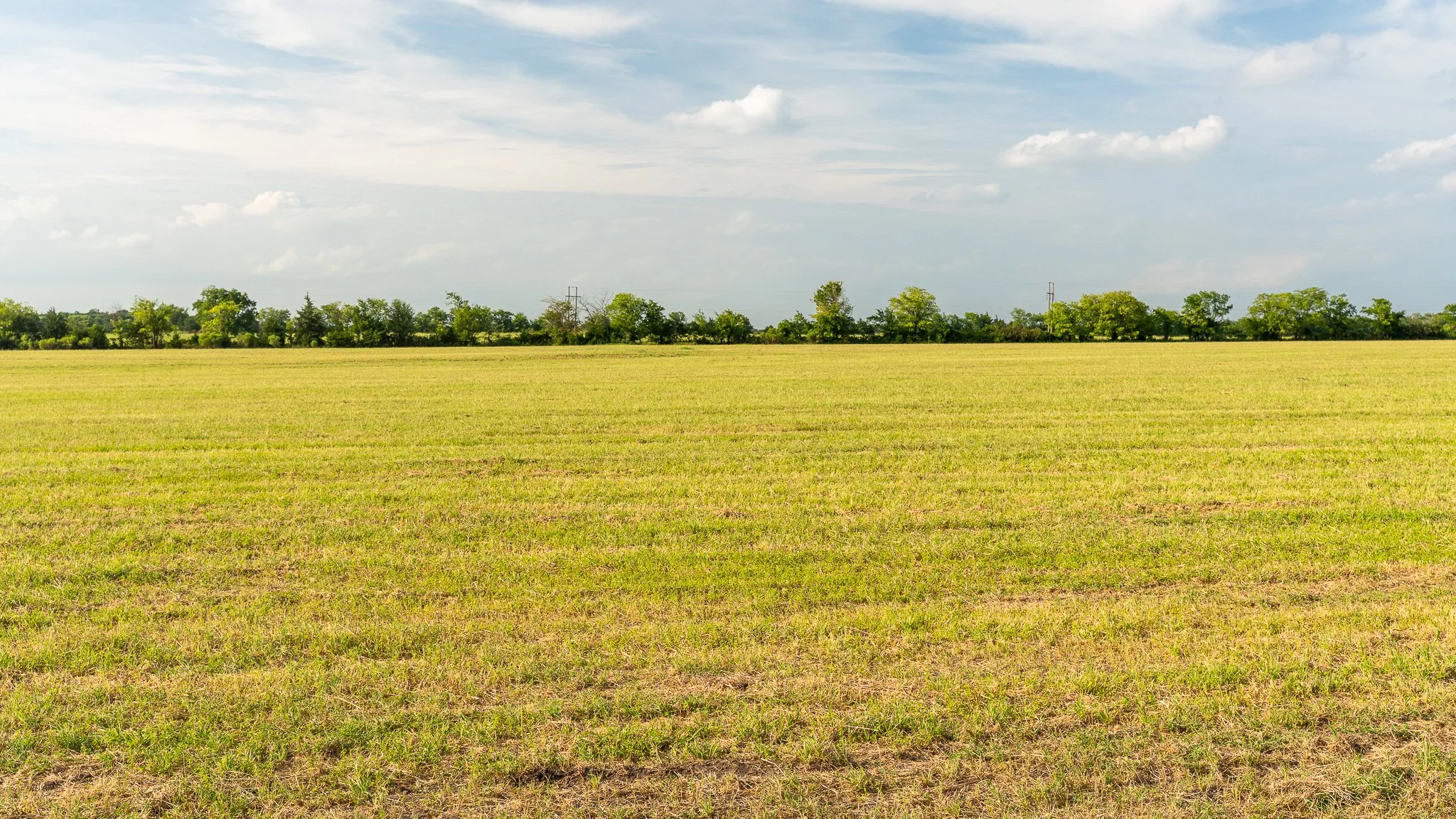 landscape-ground-summerdale-03019.jpg