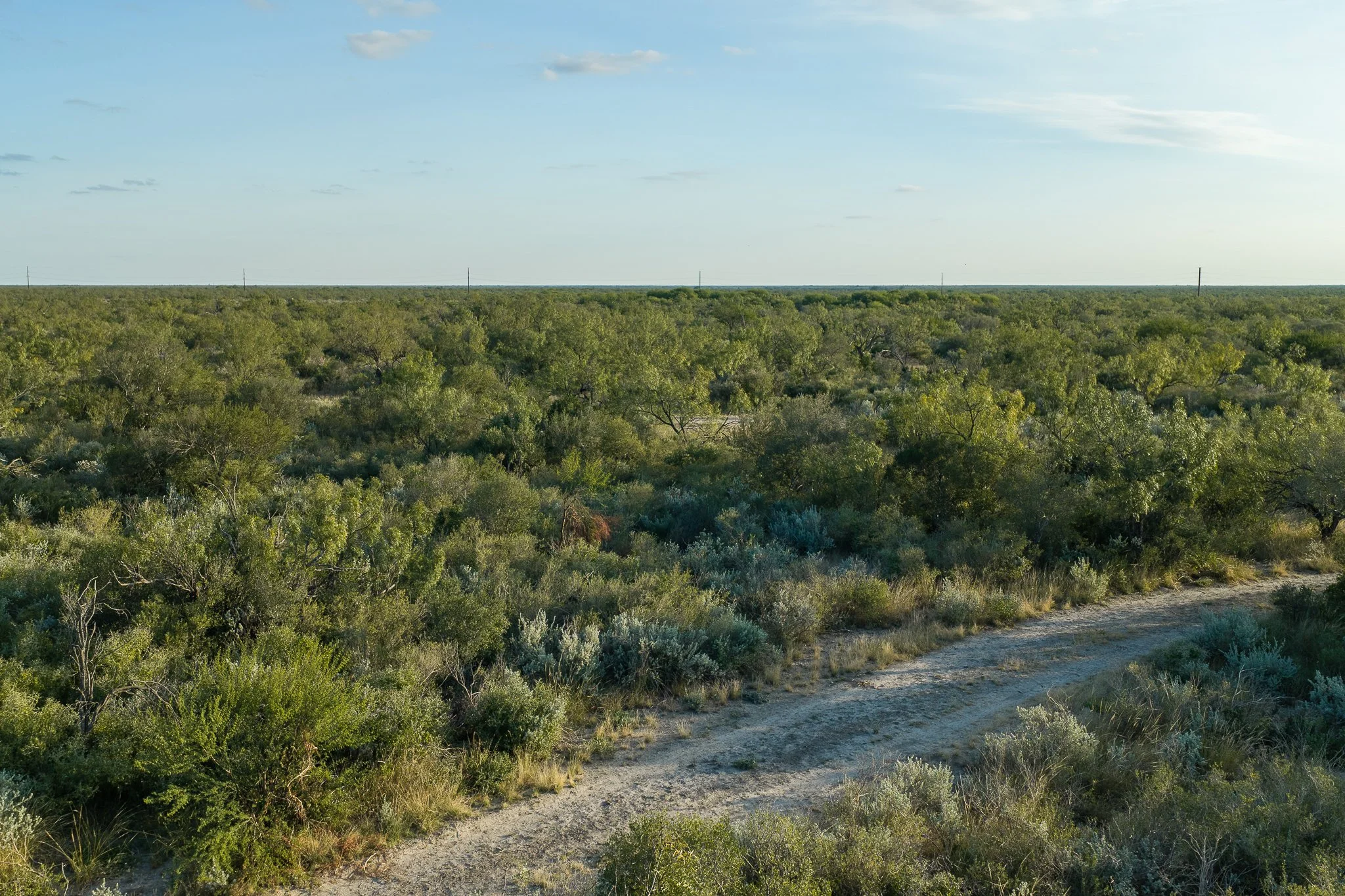 Blue_Rooster_Ranch-59.jpg