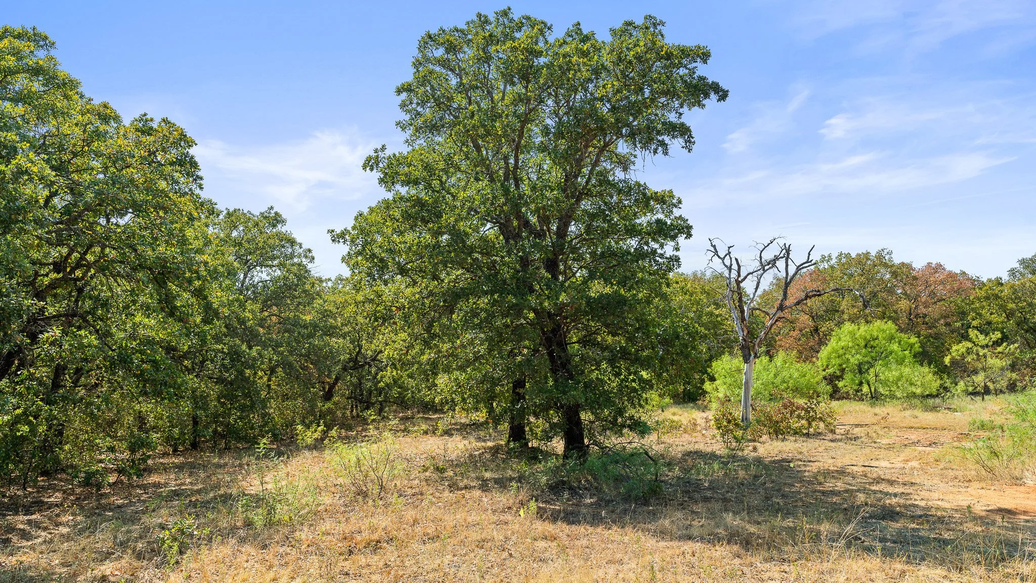 DSC09978-Landscape.jpg