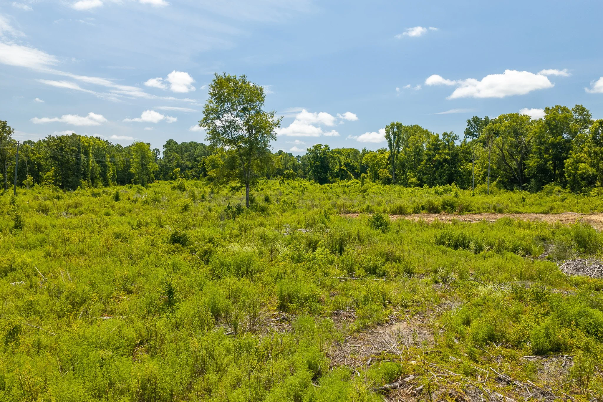 woodville-17.jpg