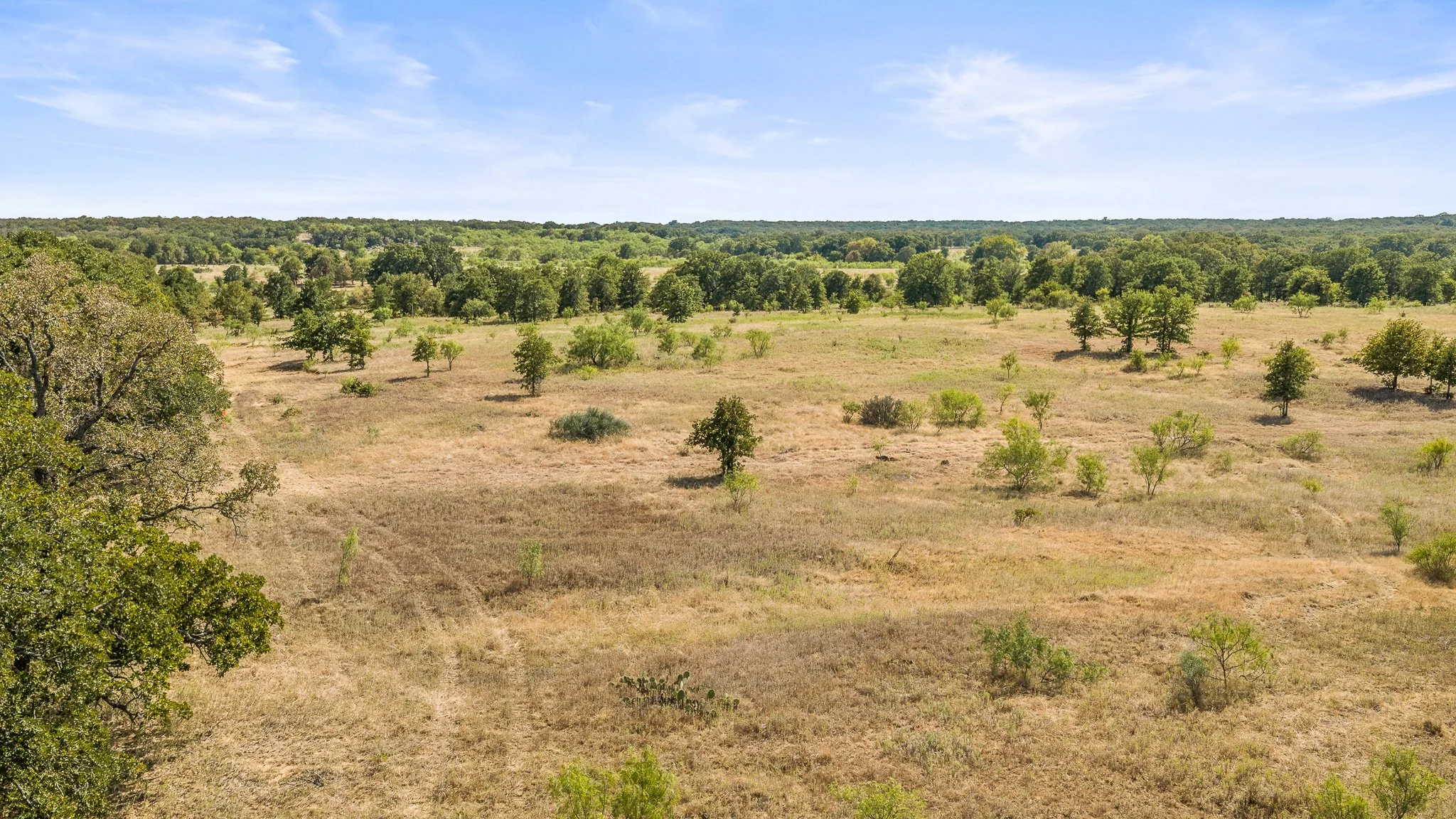 DJI_20260828162136_0376_D-Landscape.jpg