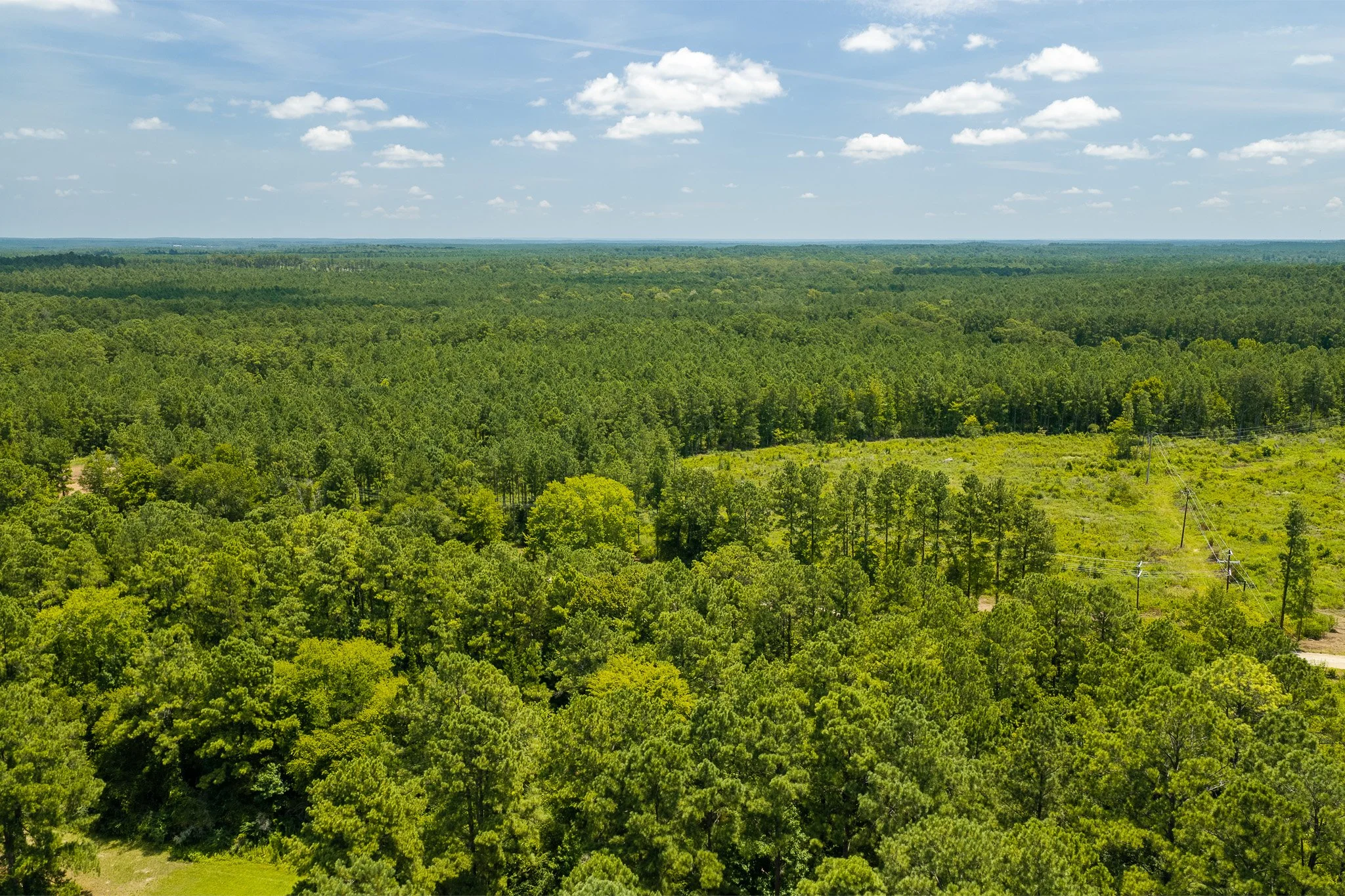 woodville-20.jpg