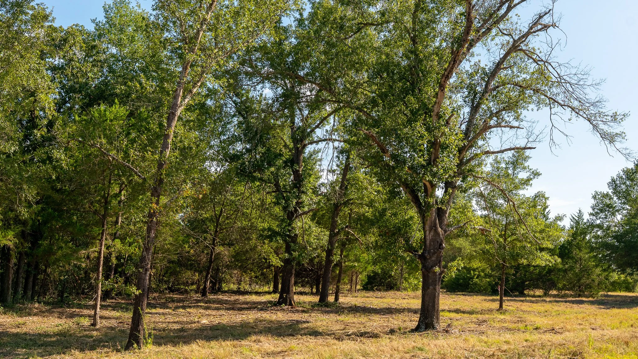 landscape-crestwood-50.jpg
