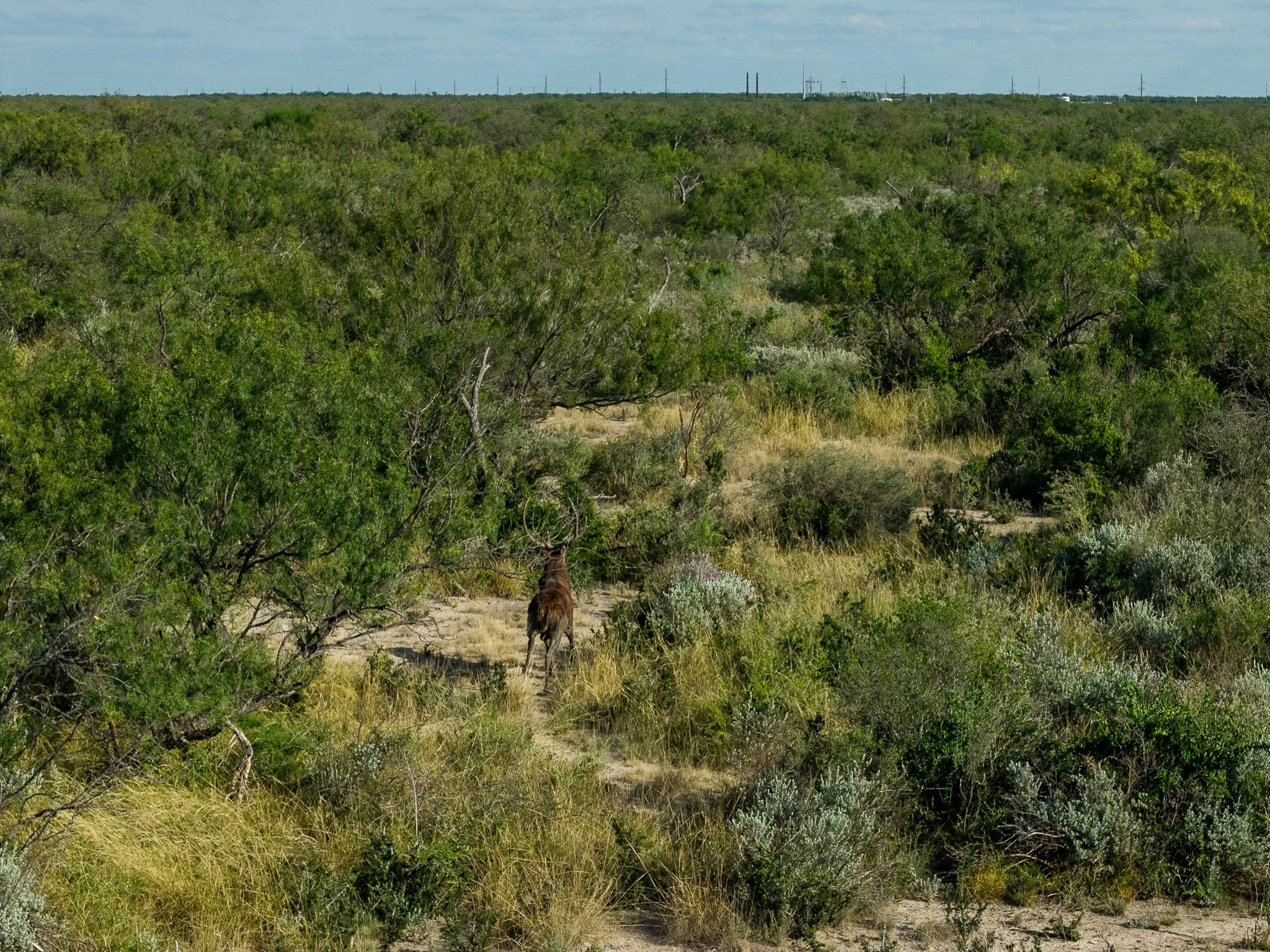 Blue_Rooster_Ranch-32.jpg