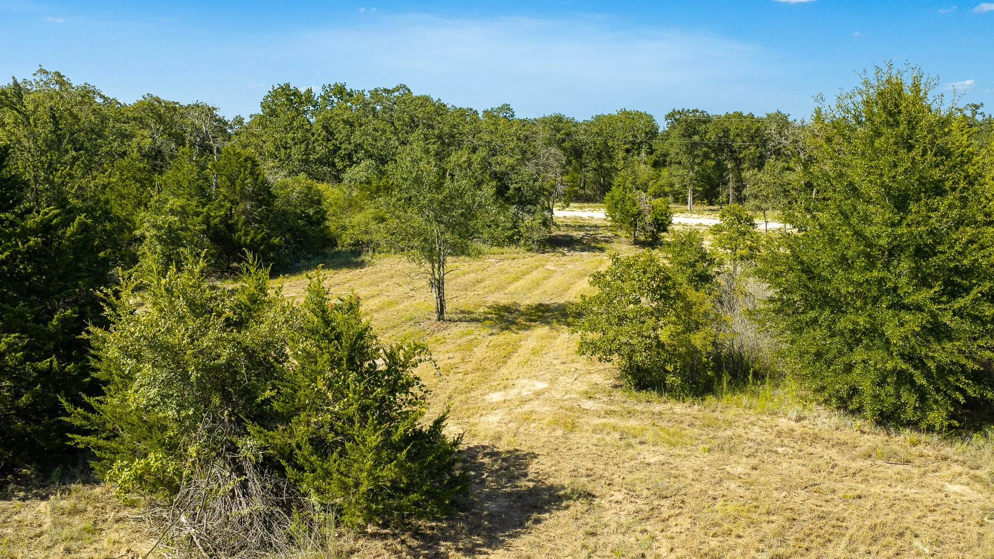 landscape-crestwood-8.jpg