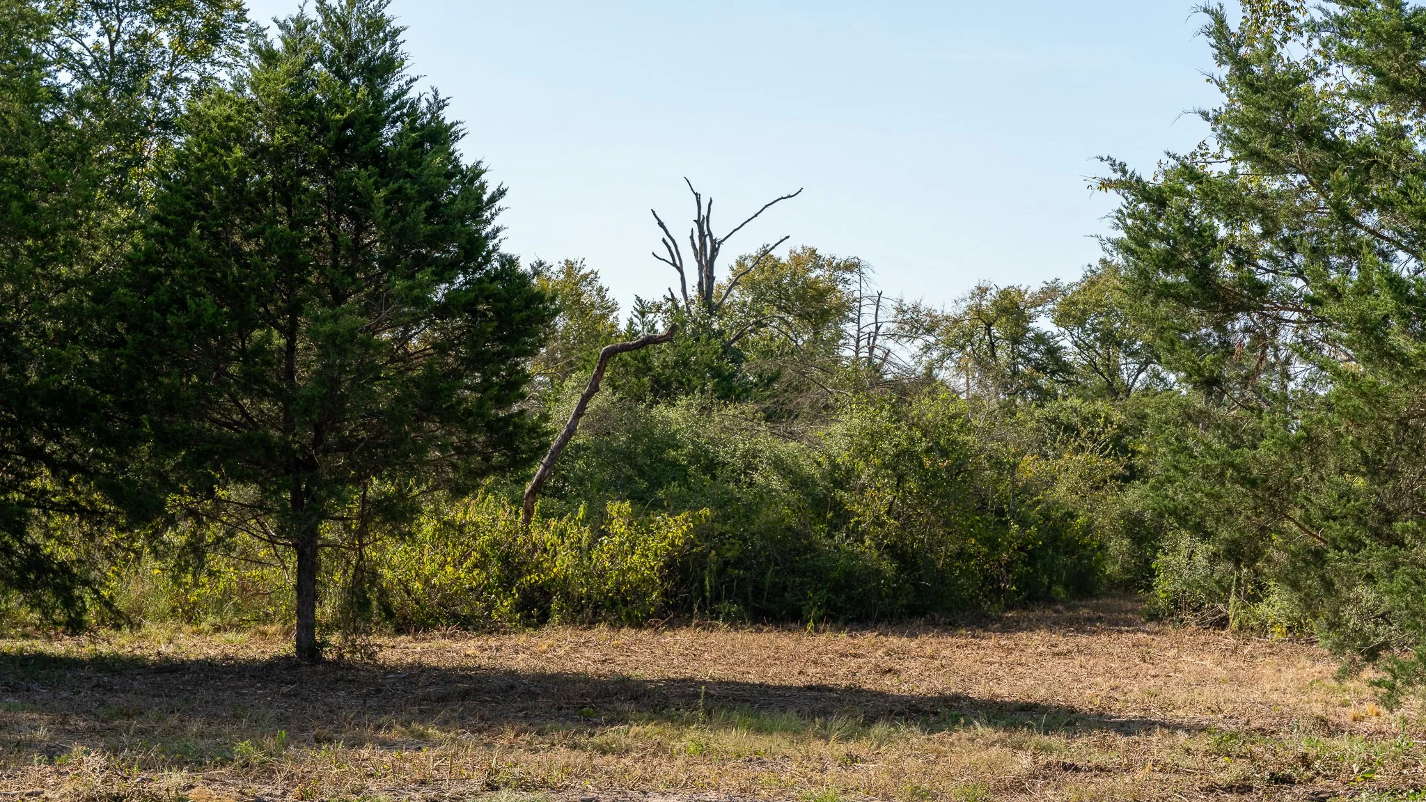 landscape-crestwood-67.jpg