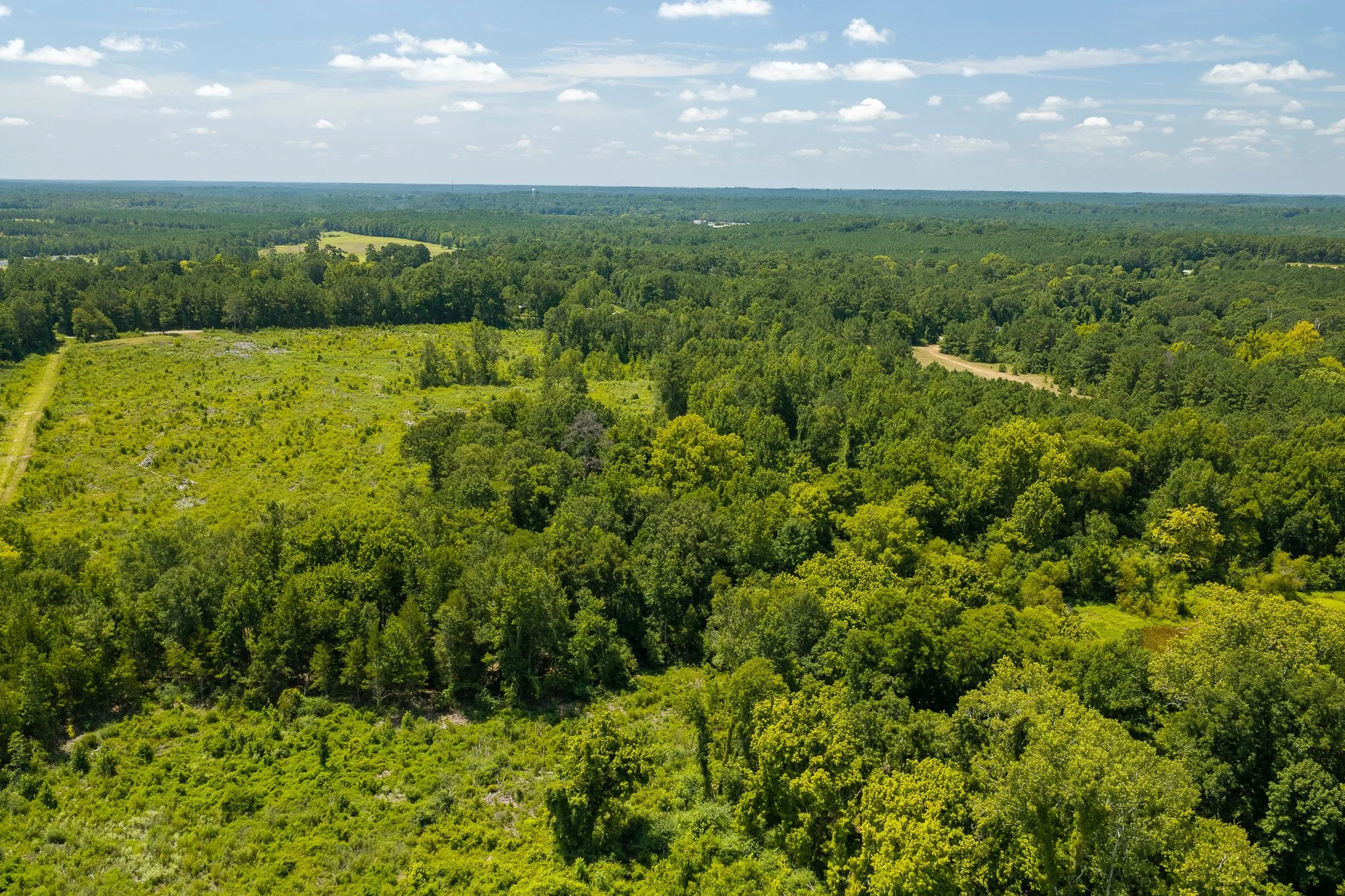 woodville-9.jpg