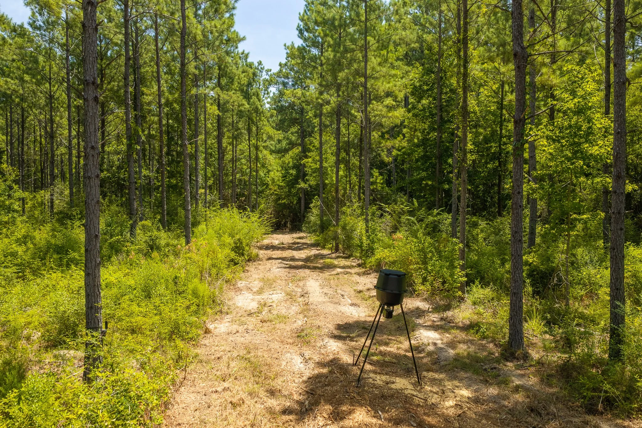 woodville-40.jpg