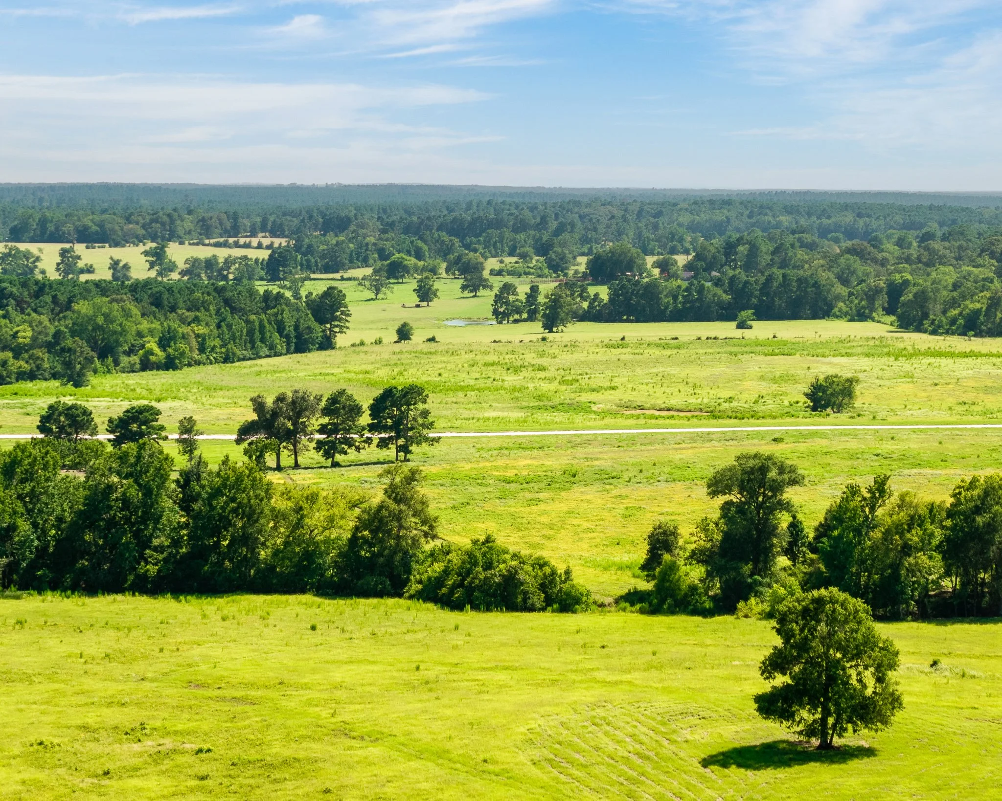 portrait-ratio-aerial-level--39.jpg