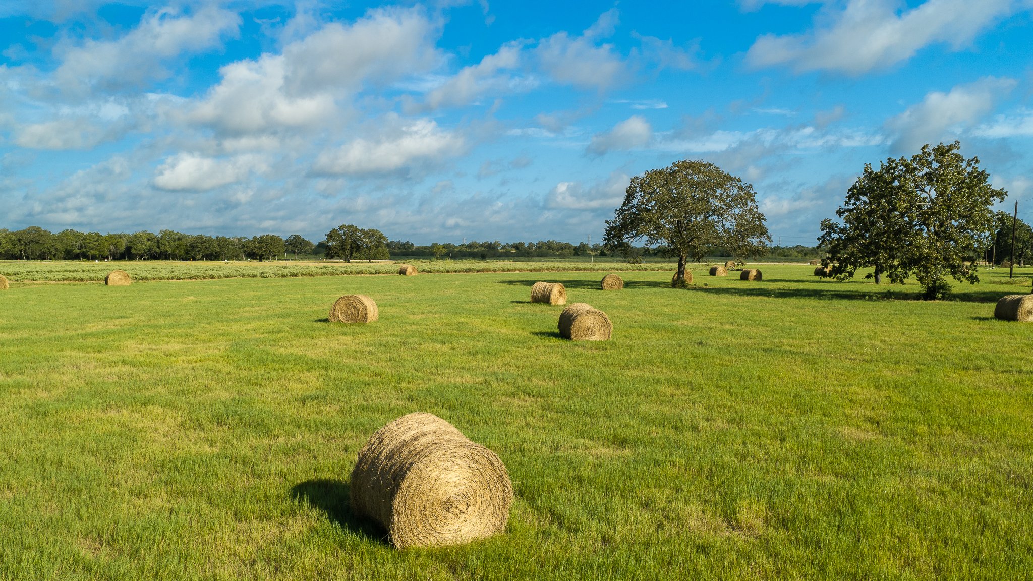landscape-smithville-10.jpg