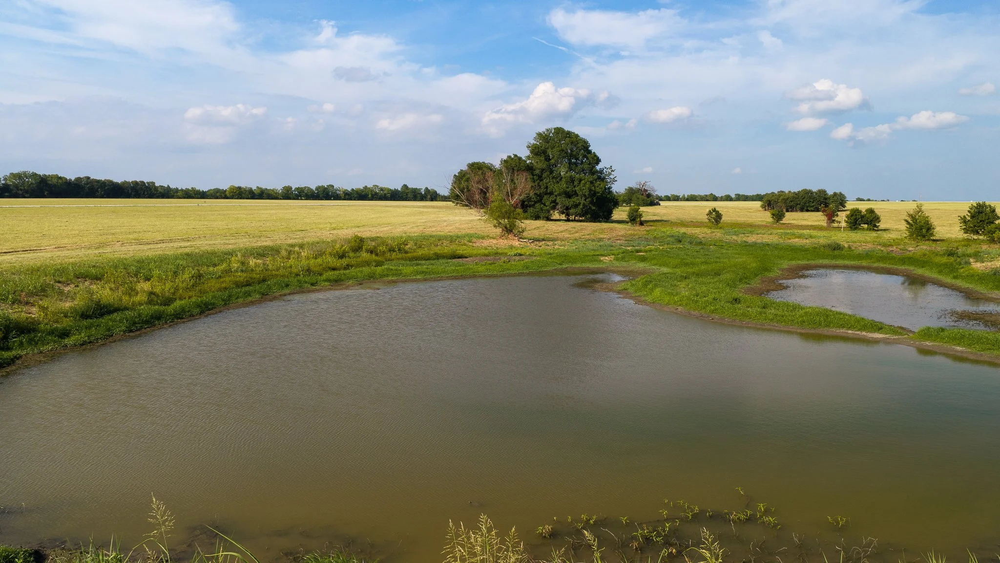 landscape-aerial-summerdale--5.jpg