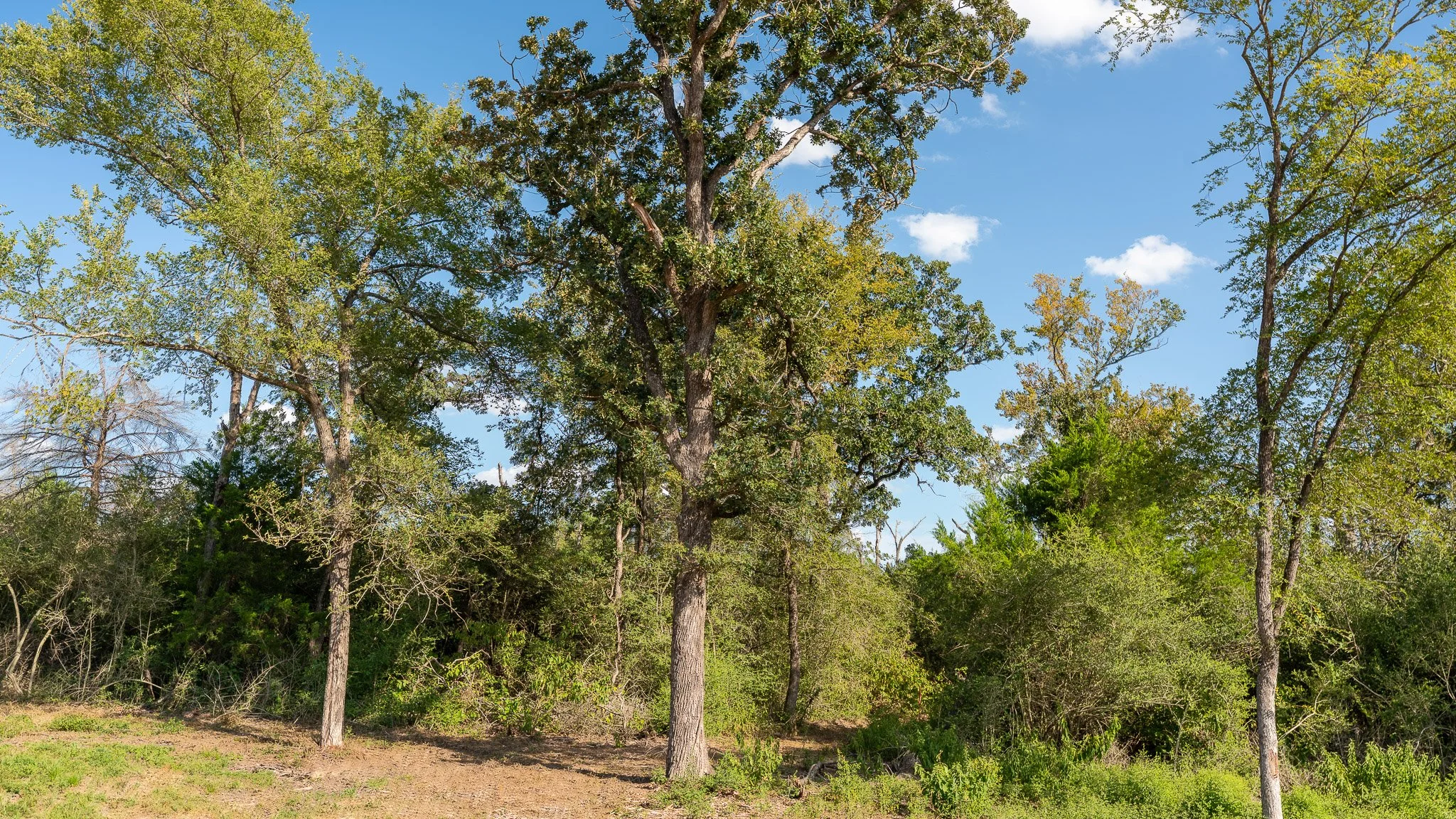 landscape-crestwood-69.jpg