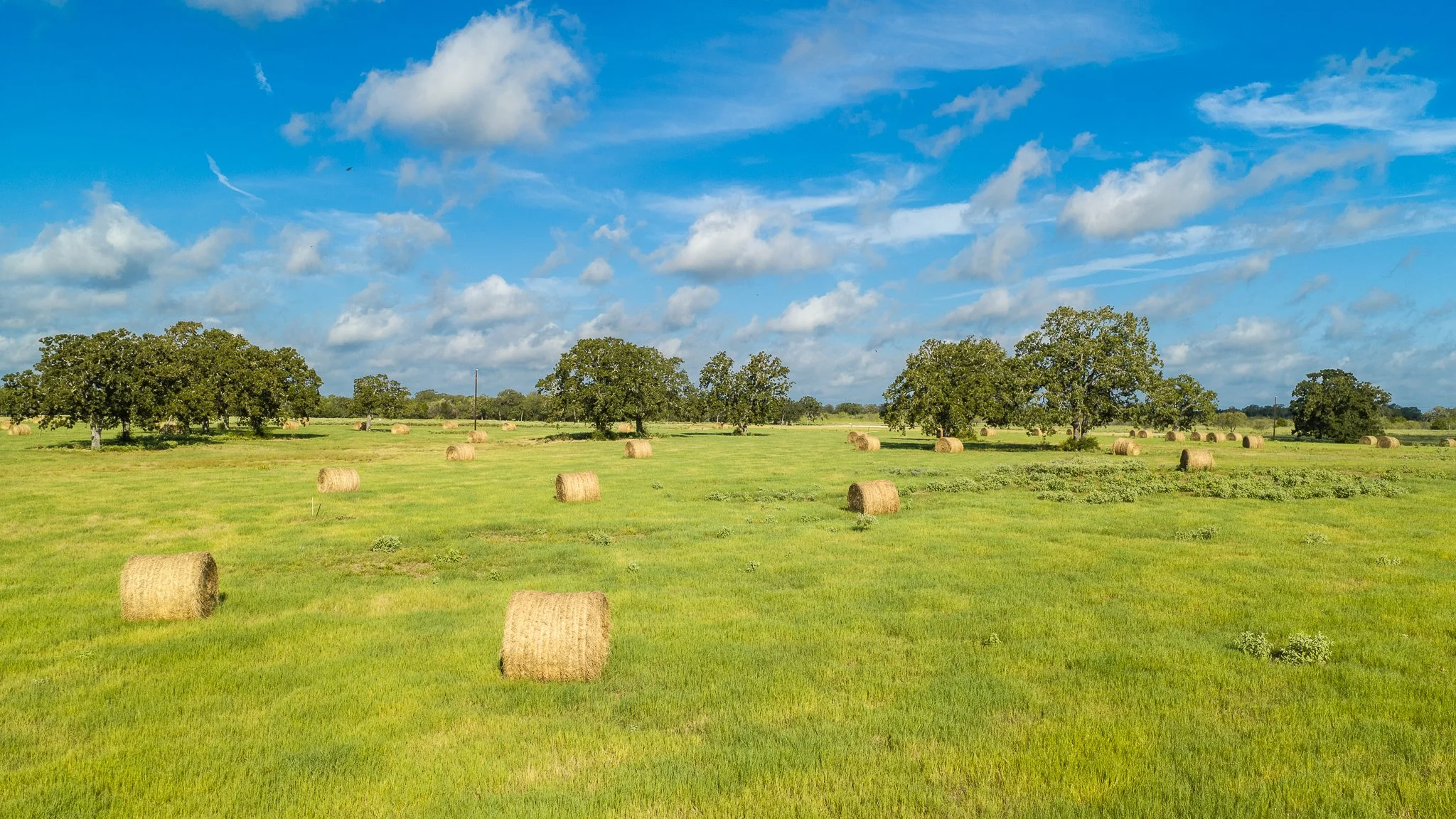 landscape-smithville-15.jpg