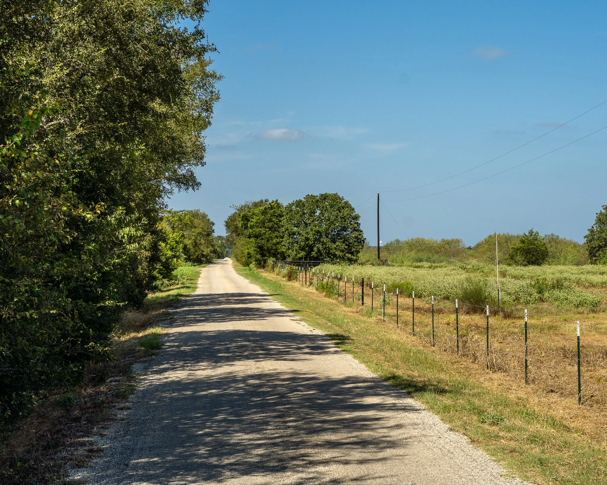 portrait-smithville-39.jpg