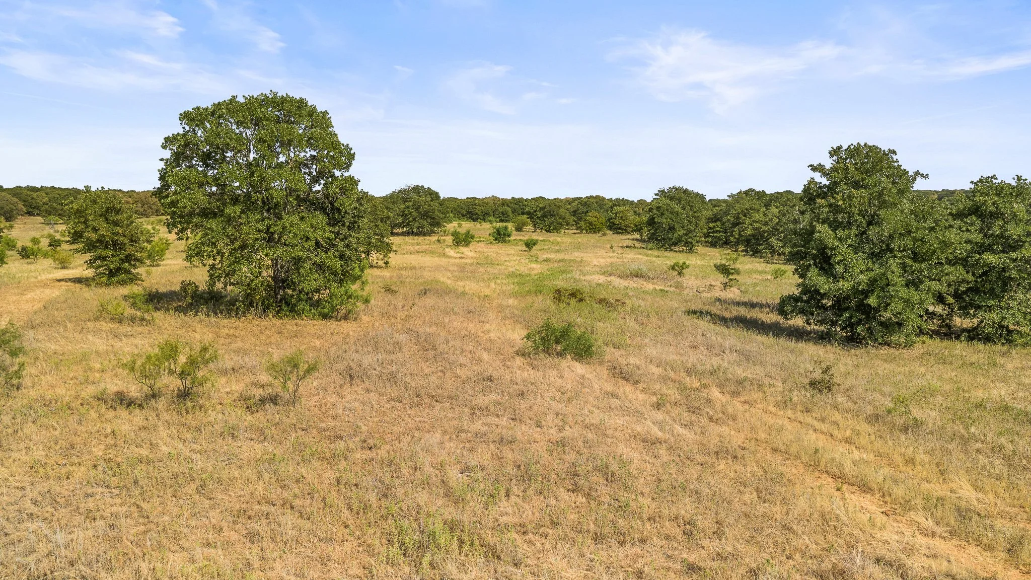 DJI_20260828163827_0392_D-Landscape.jpg