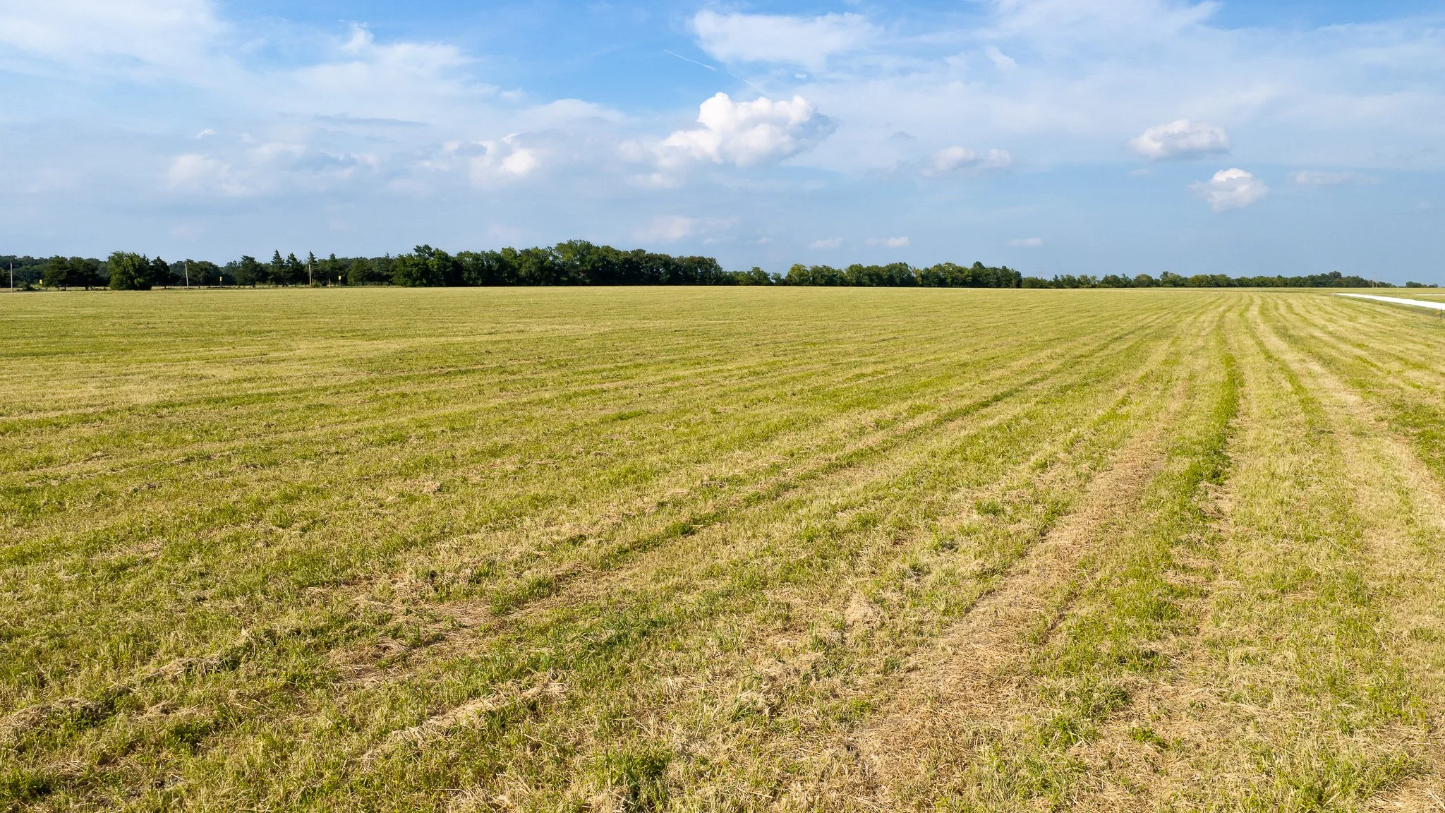 landscape-aerial-summerdale--.1jpg.jpg