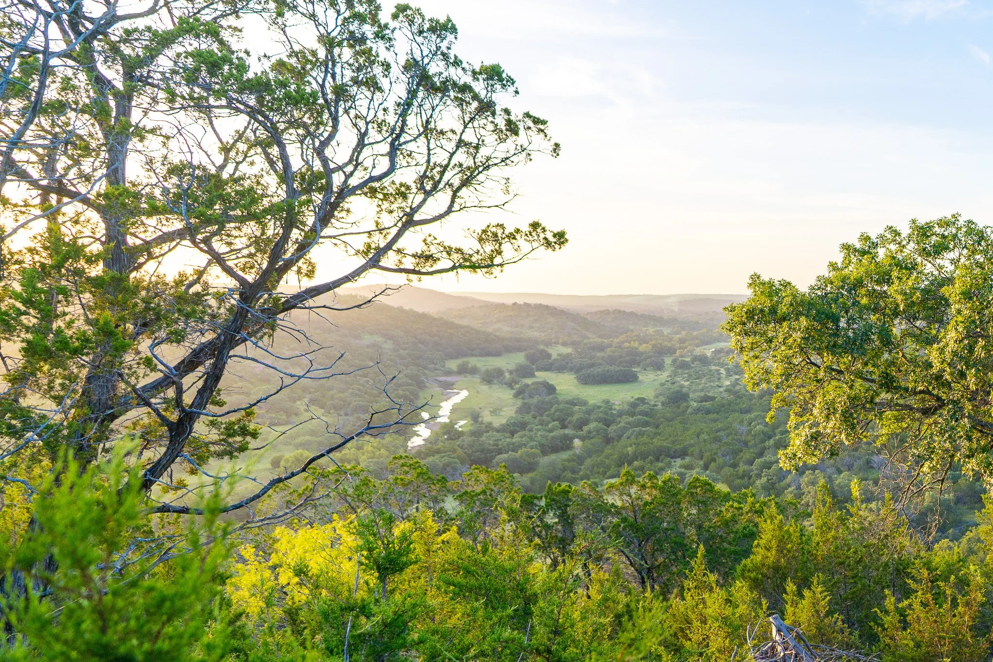 Professional land photography of a dirt road in a hill country landscape with green shrubs and small trees, a metal gate, and a clear blue sky.