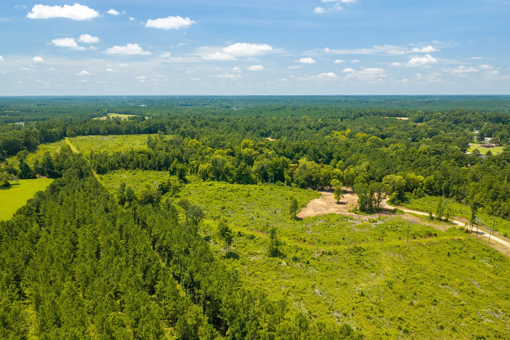 woodville-16.jpg