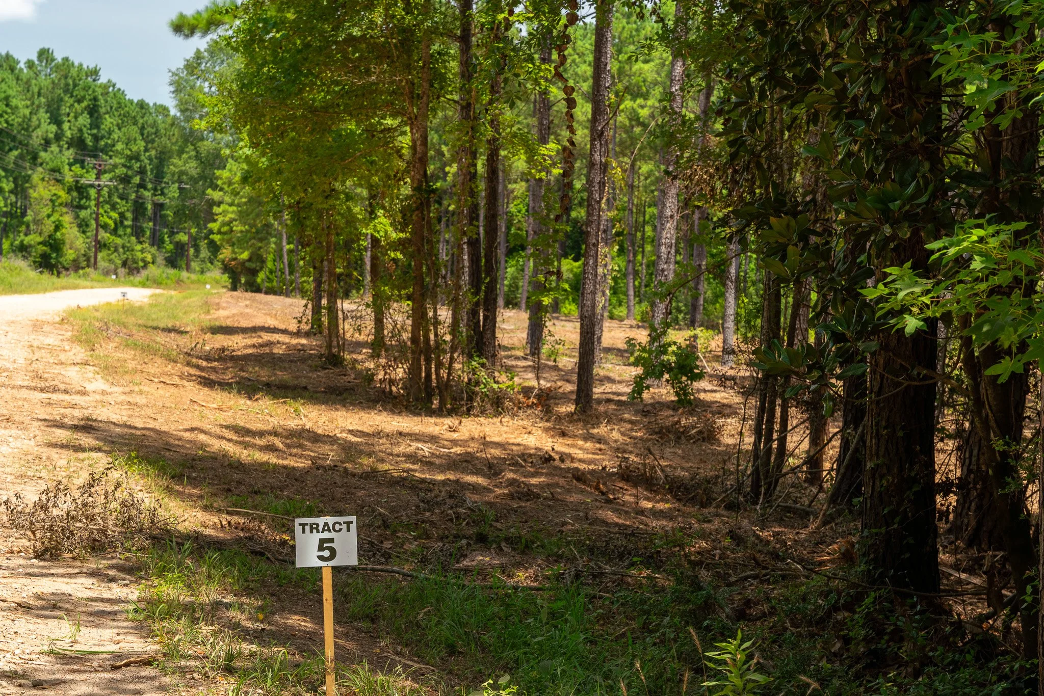 woodville-73.jpg