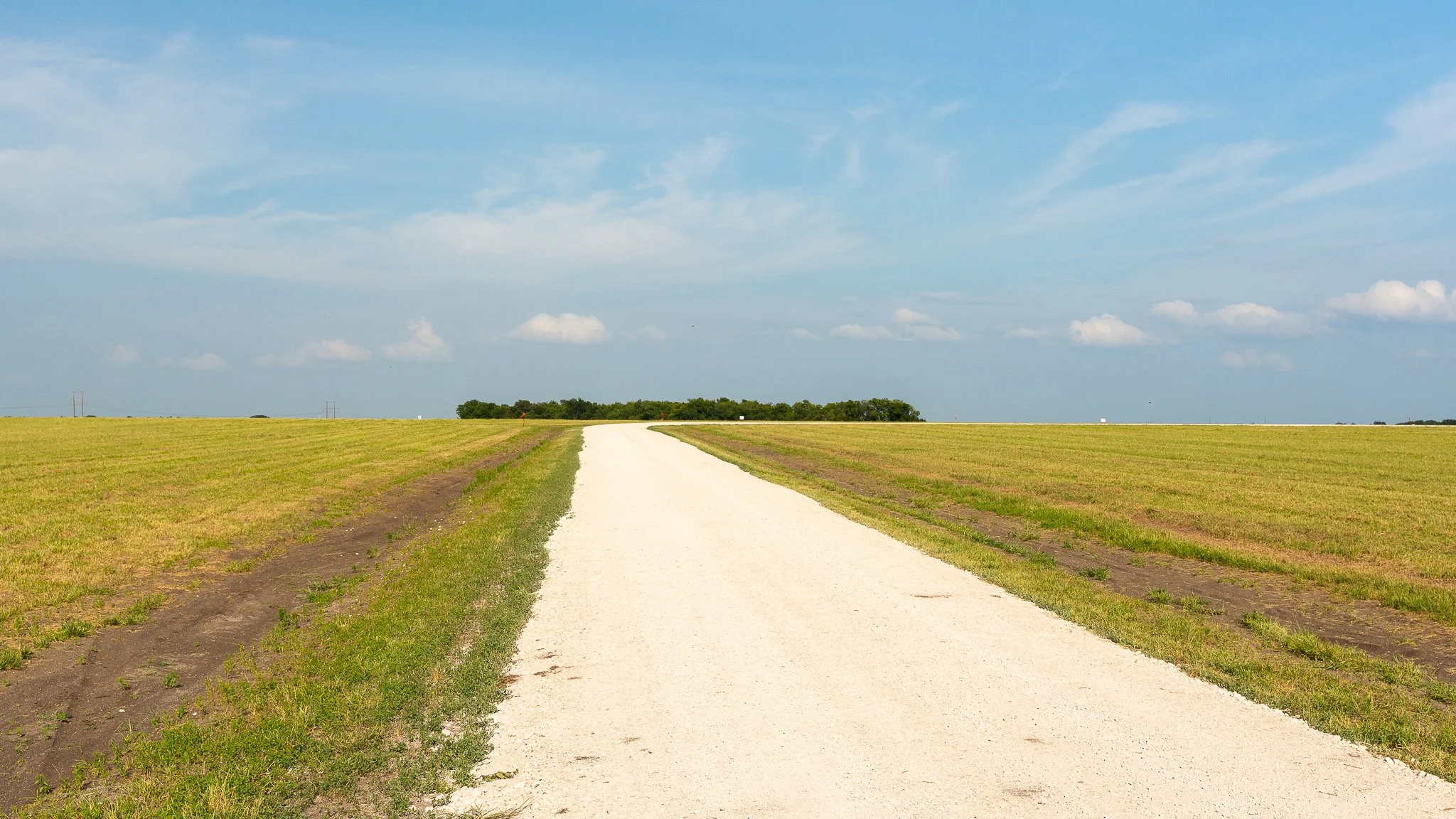 landscape-ground-summerdale-03018.jpg