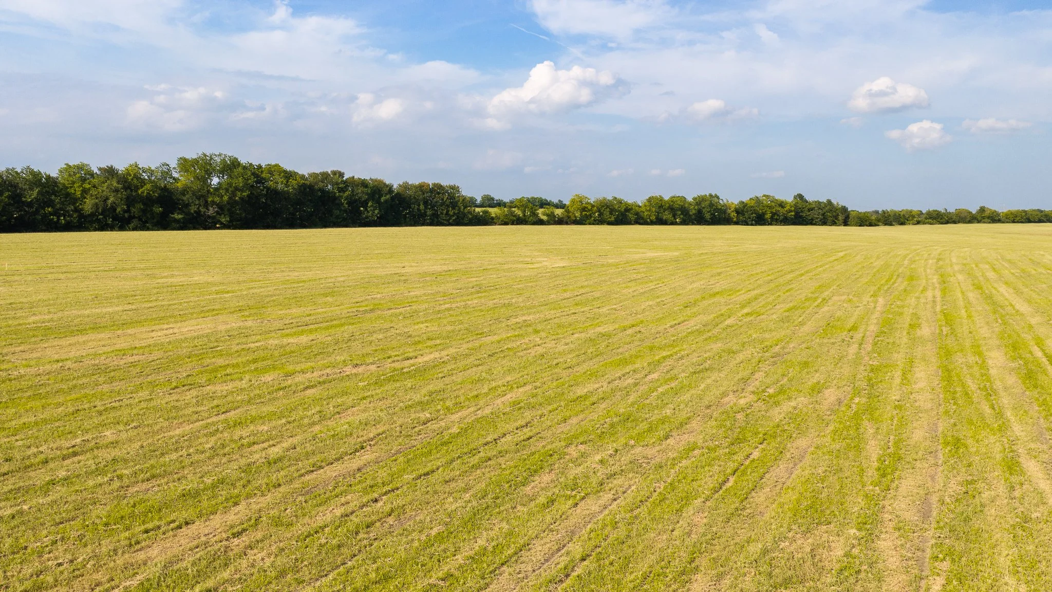 landscape-aerial-summerdale--2.jpg