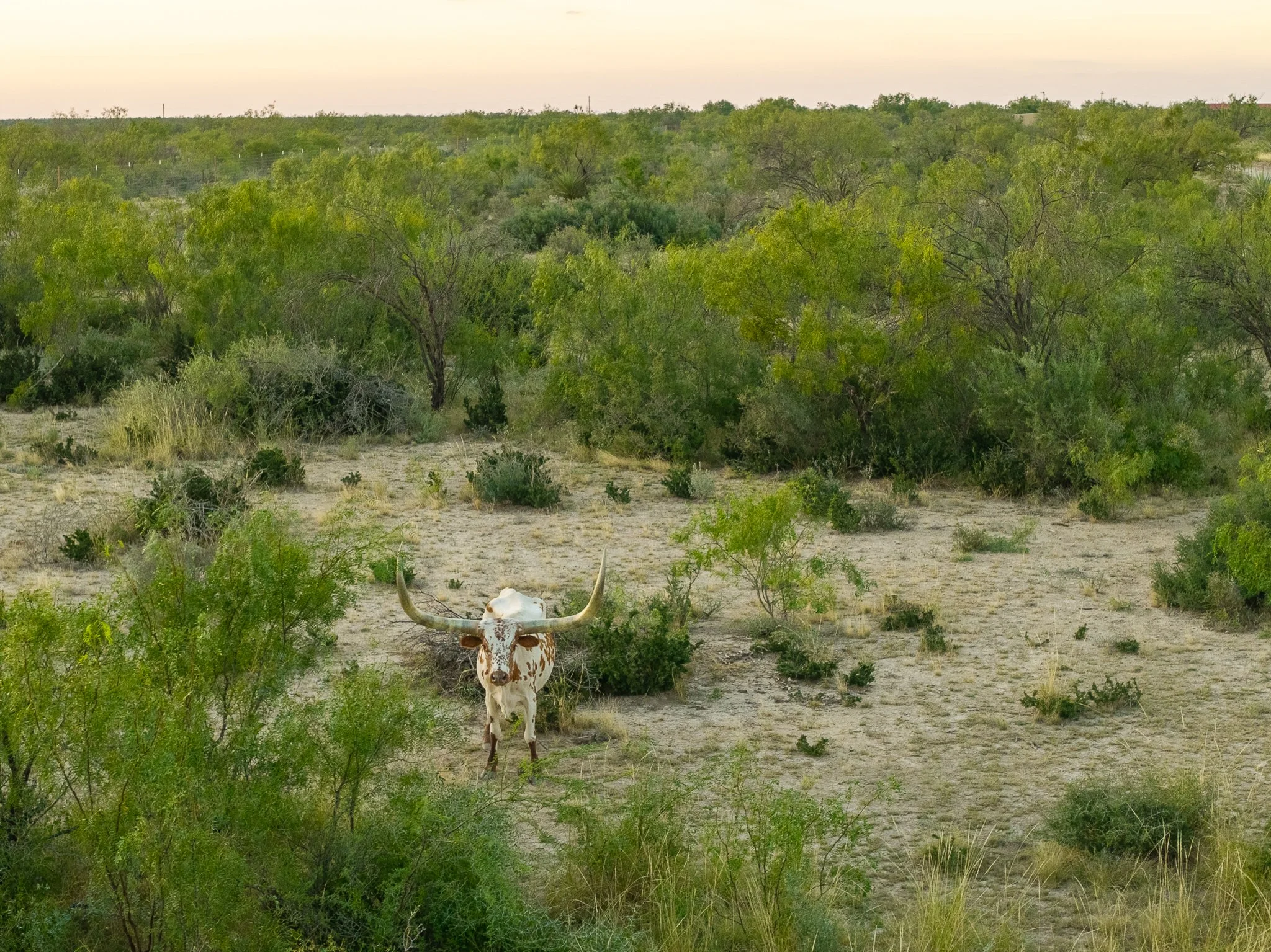 Blue_Rooster_Ranch-80.jpg
