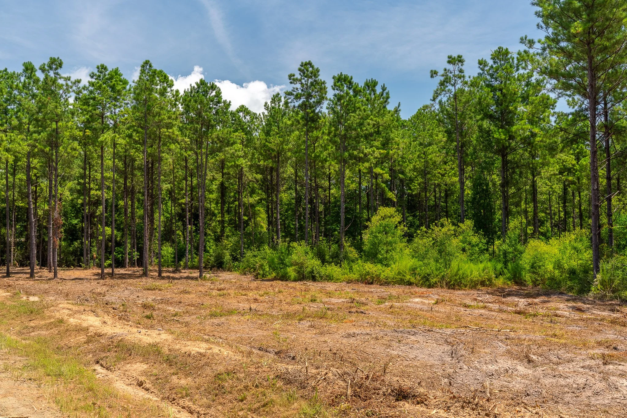 woodville-59.jpg