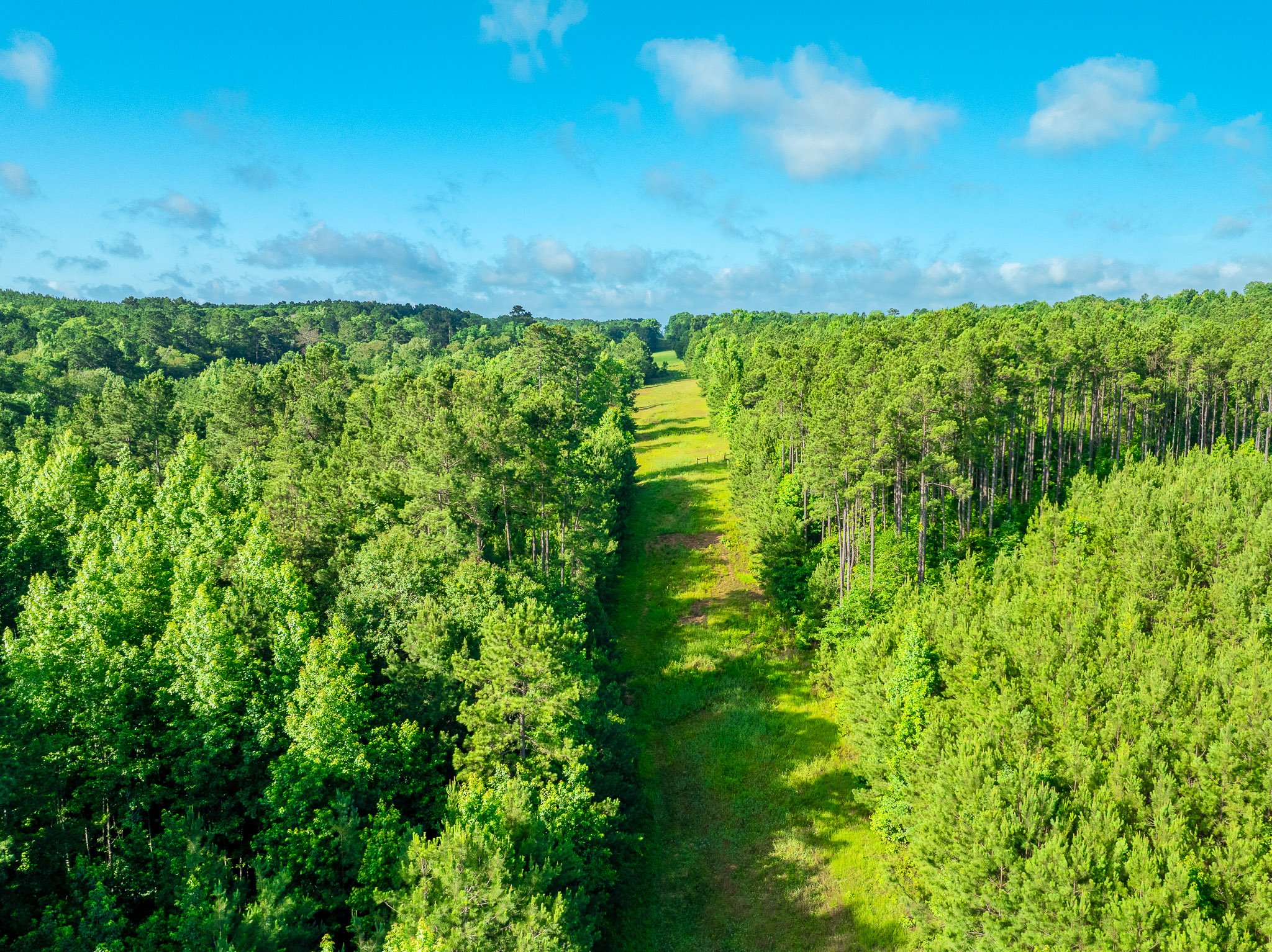 Sexton-Drone-63.jpg