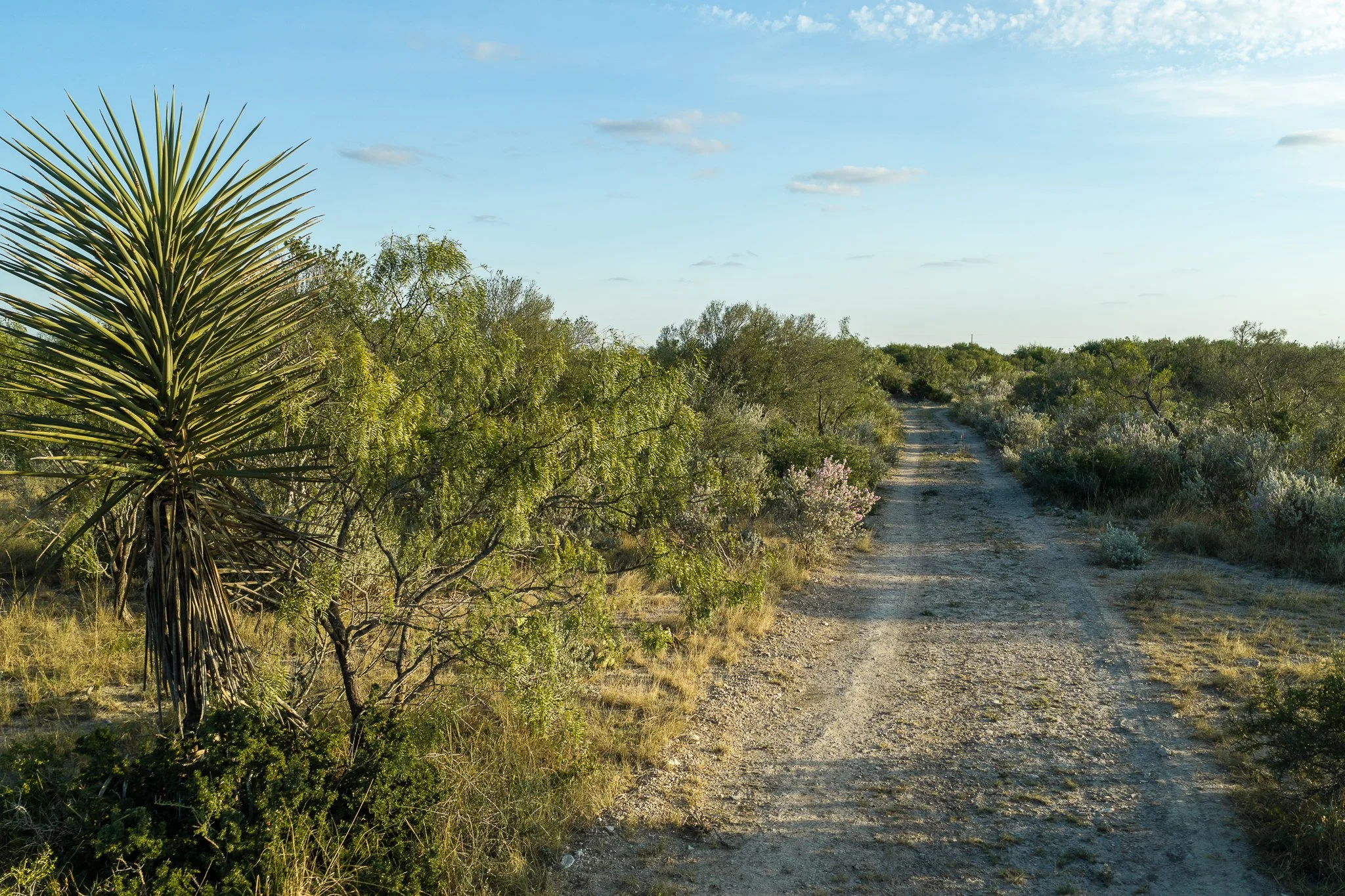 Blue_Rooster_Ranch-56.jpg