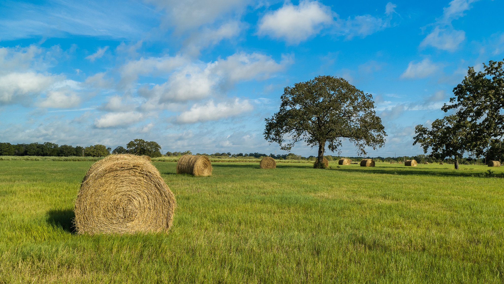 landscape-smithville-11.jpg