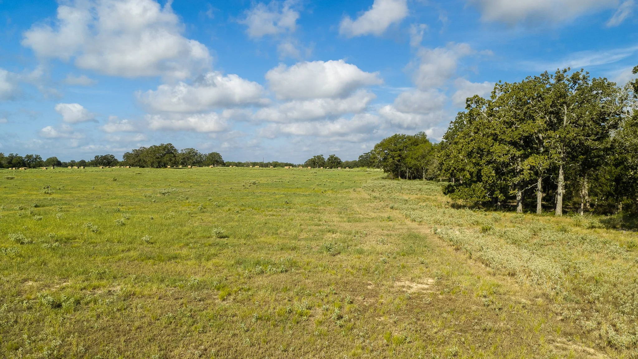 landscape-smithville-21.jpg