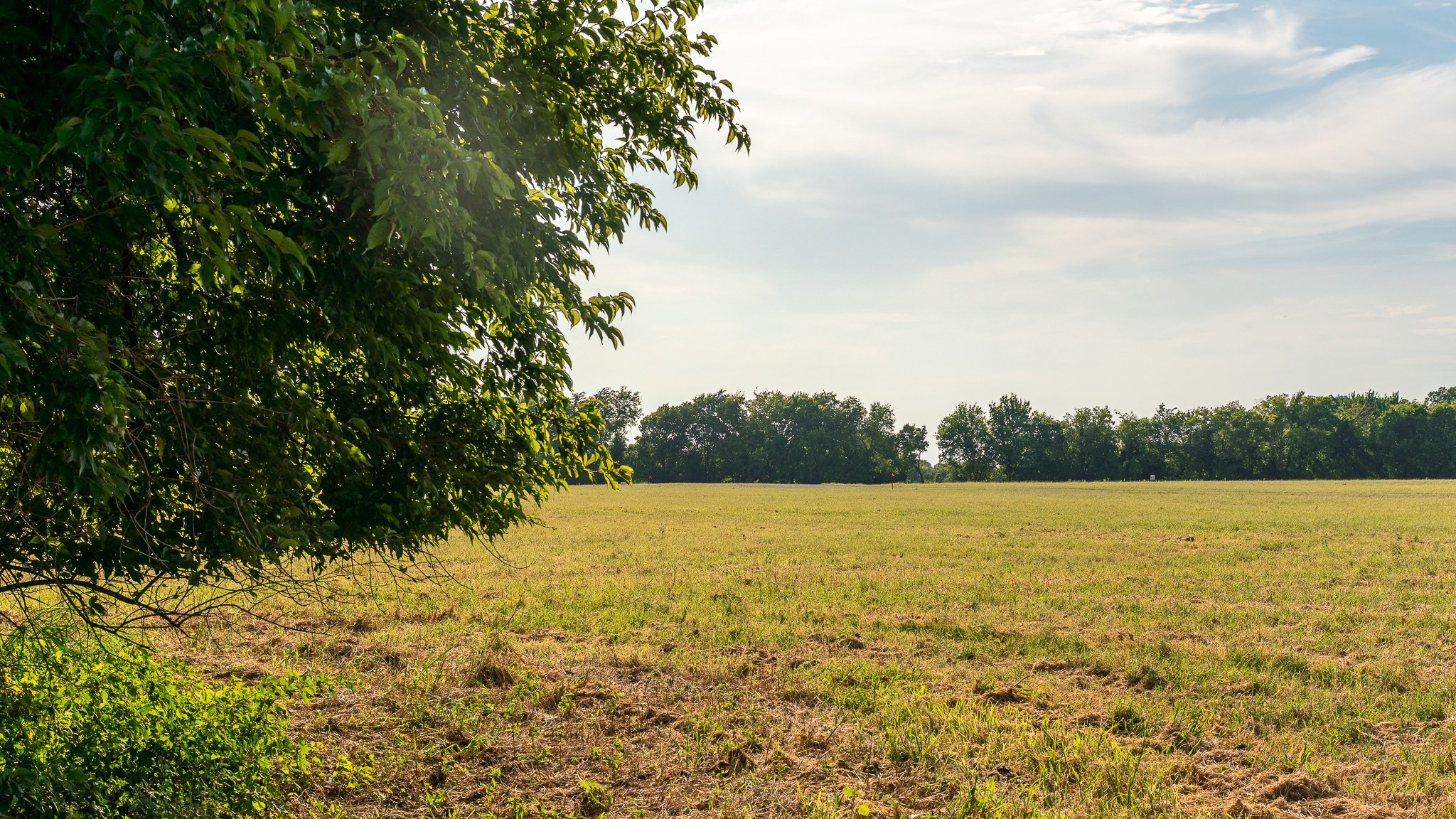landscape-ground-summerdale--15.jpg