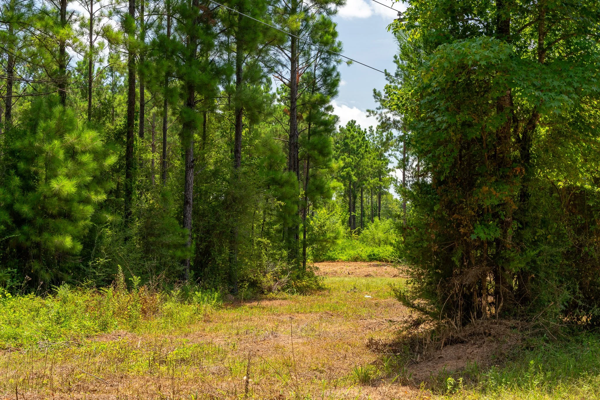 woodville-76.jpg
