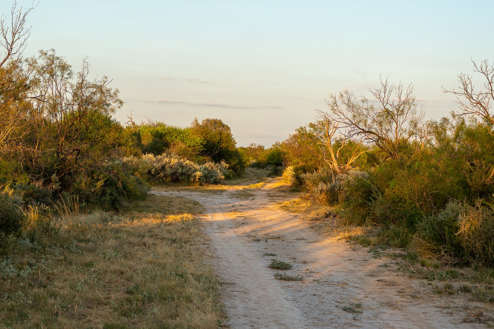 Blue_Rooster_Ranch-24.jpg