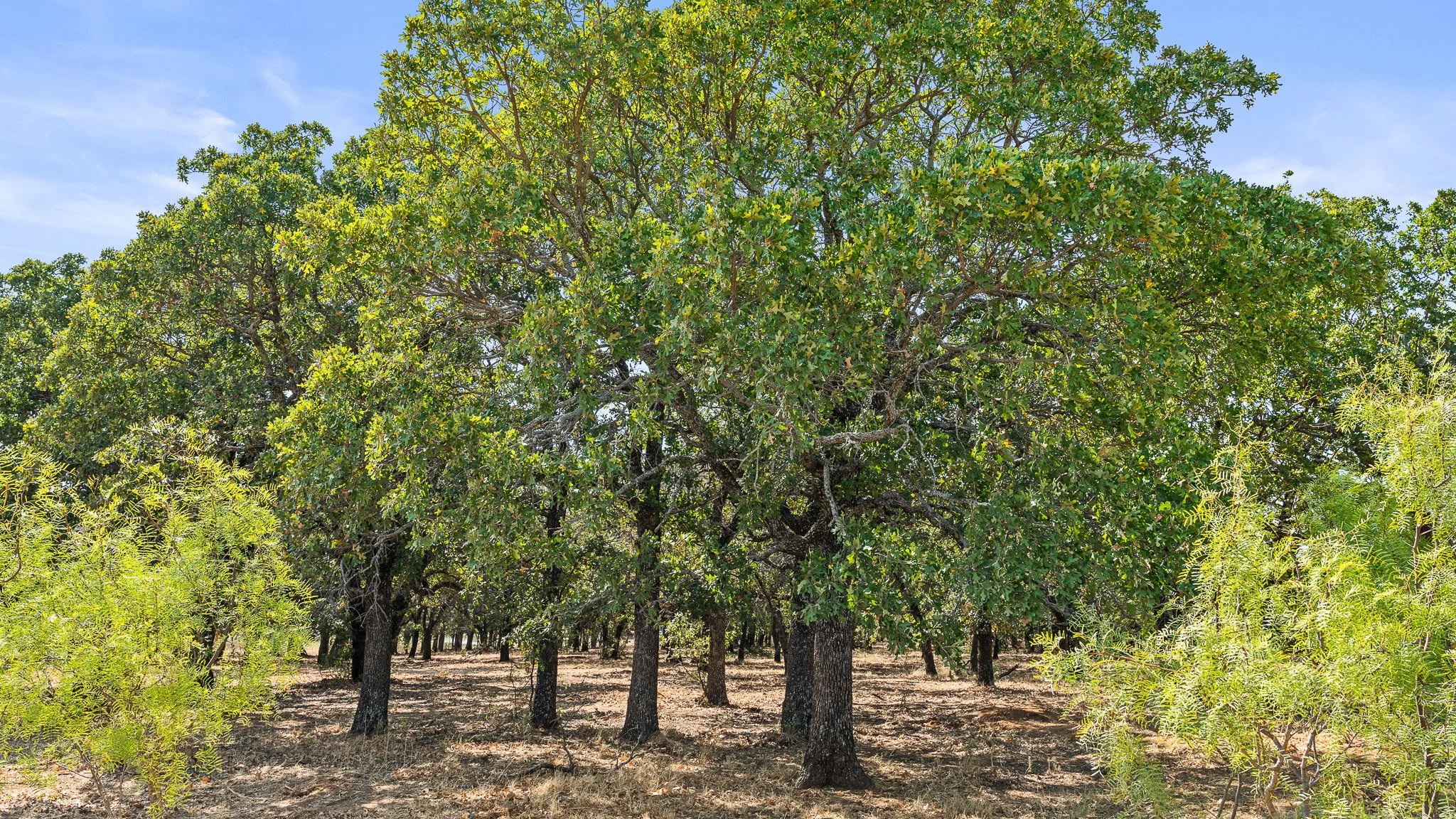 DSC09976-Landscape.jpg