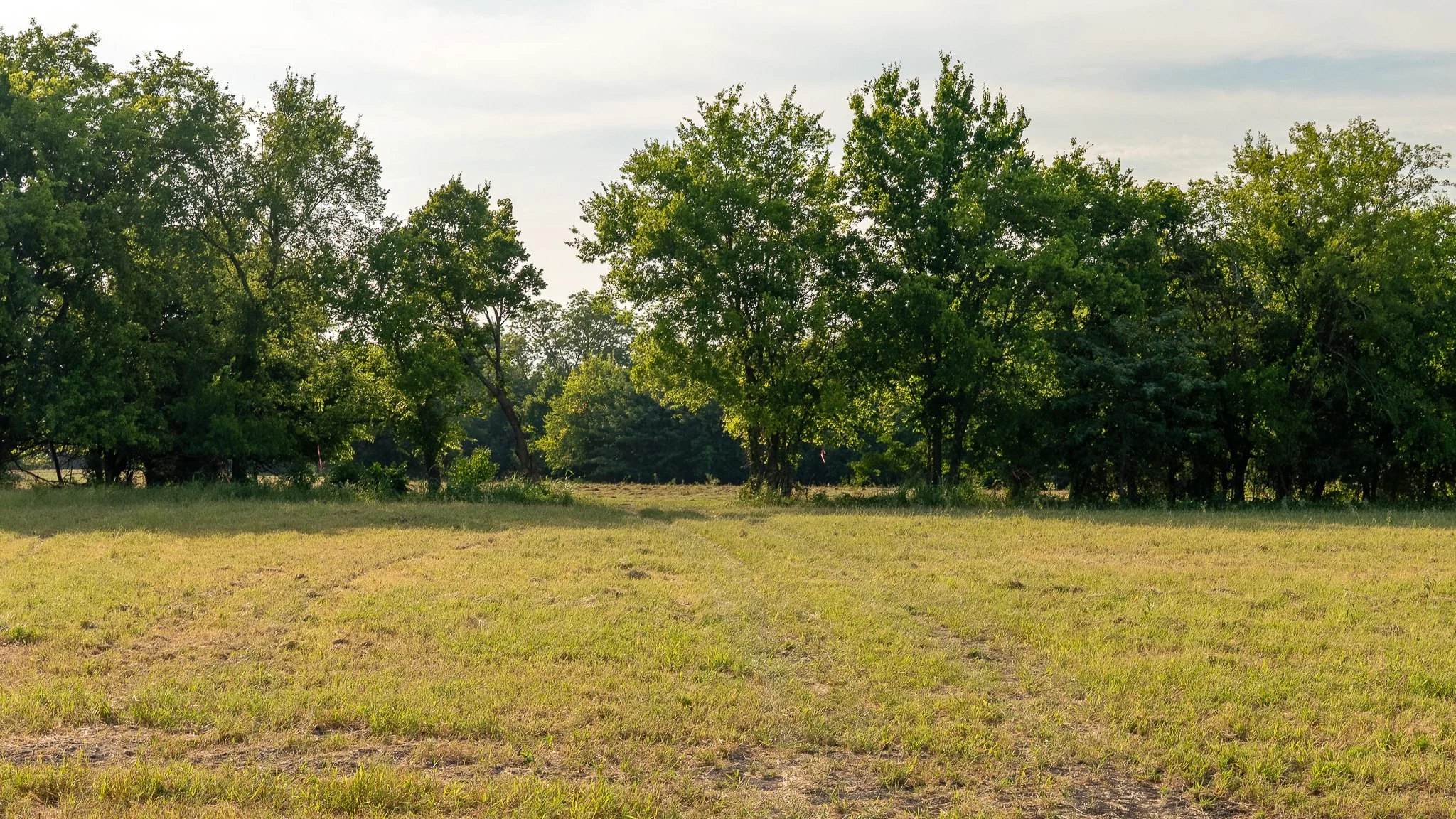 landscape-ground-summerdale--4.jpg