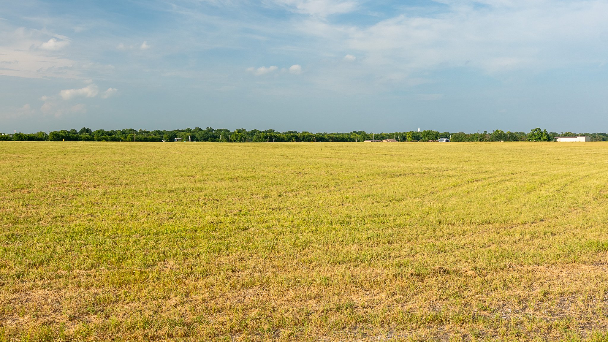 landscape-ground-summerdale--6.jpg