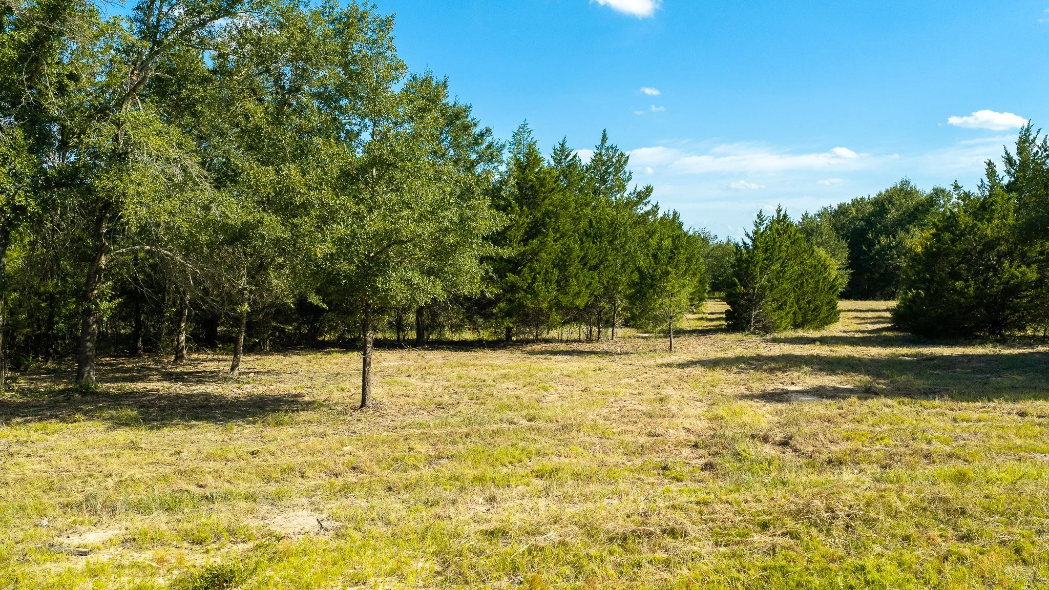landscape-crestwood-15.jpg